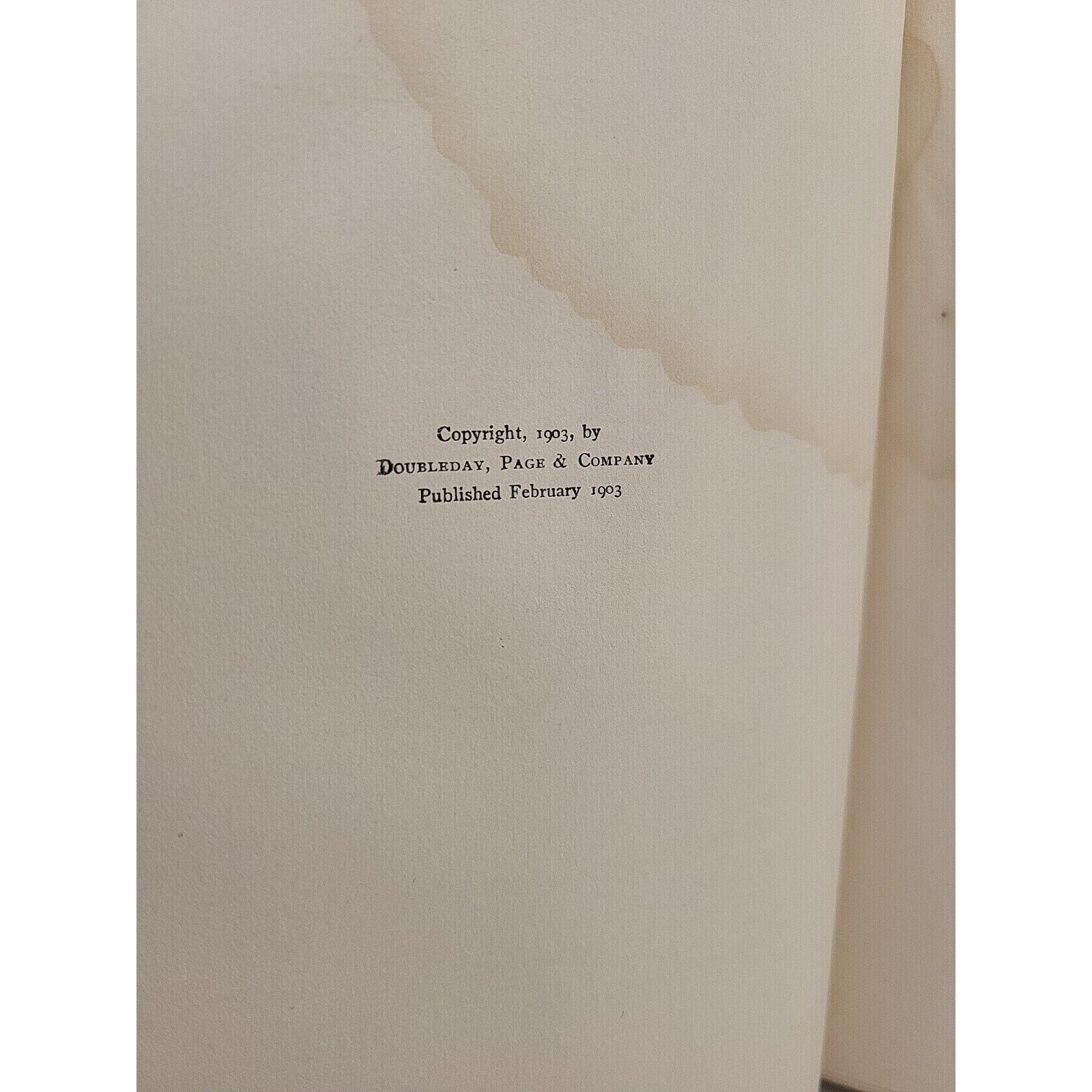 Principles Of Home Decoration By Candace Wheeler 1903 HC (S1)