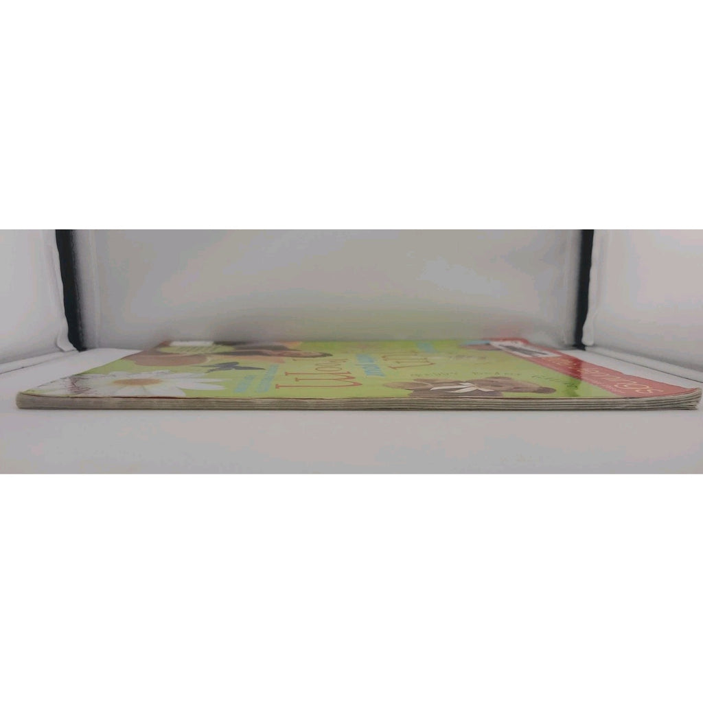 Have Fun with Your Room : 28 Cool Projects for Teens by Lynette Jennings (2001,