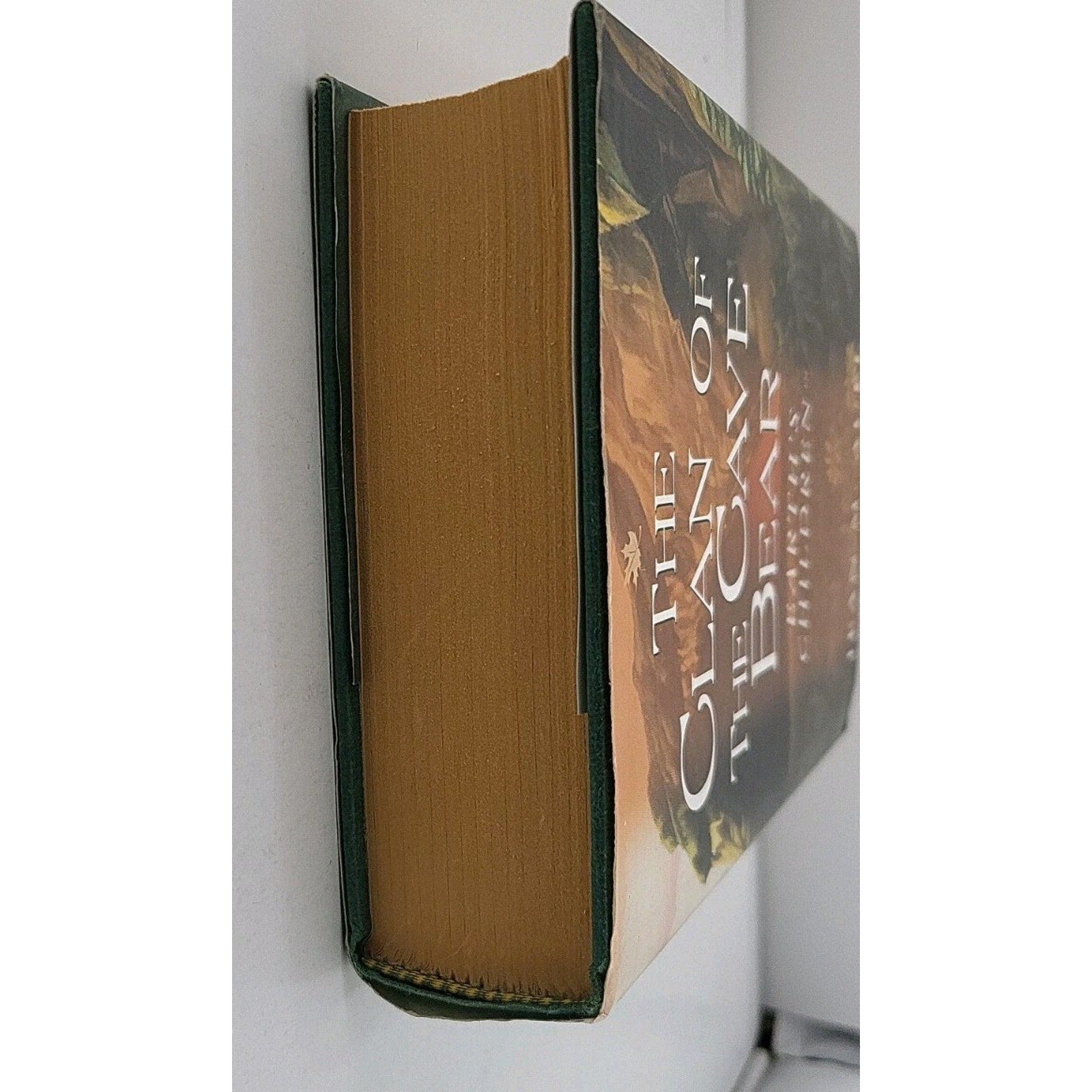 Clan of the Cave Bear by Jean M. Auel (1998, Hardcover)