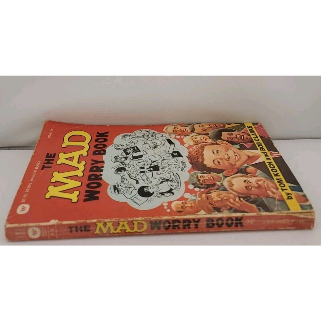 The Mad Worry Book