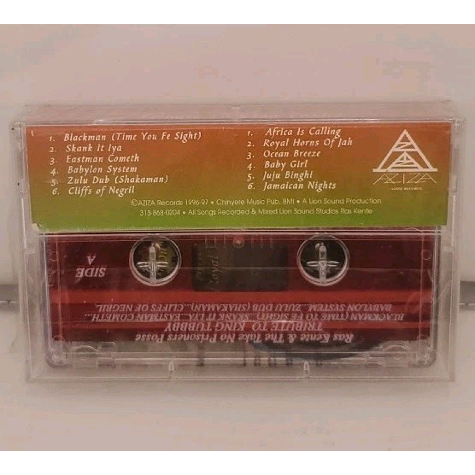 Ras Kente & The Take No Prisoners Posse - Tribute To King Tubby (Cassette)*NEW*