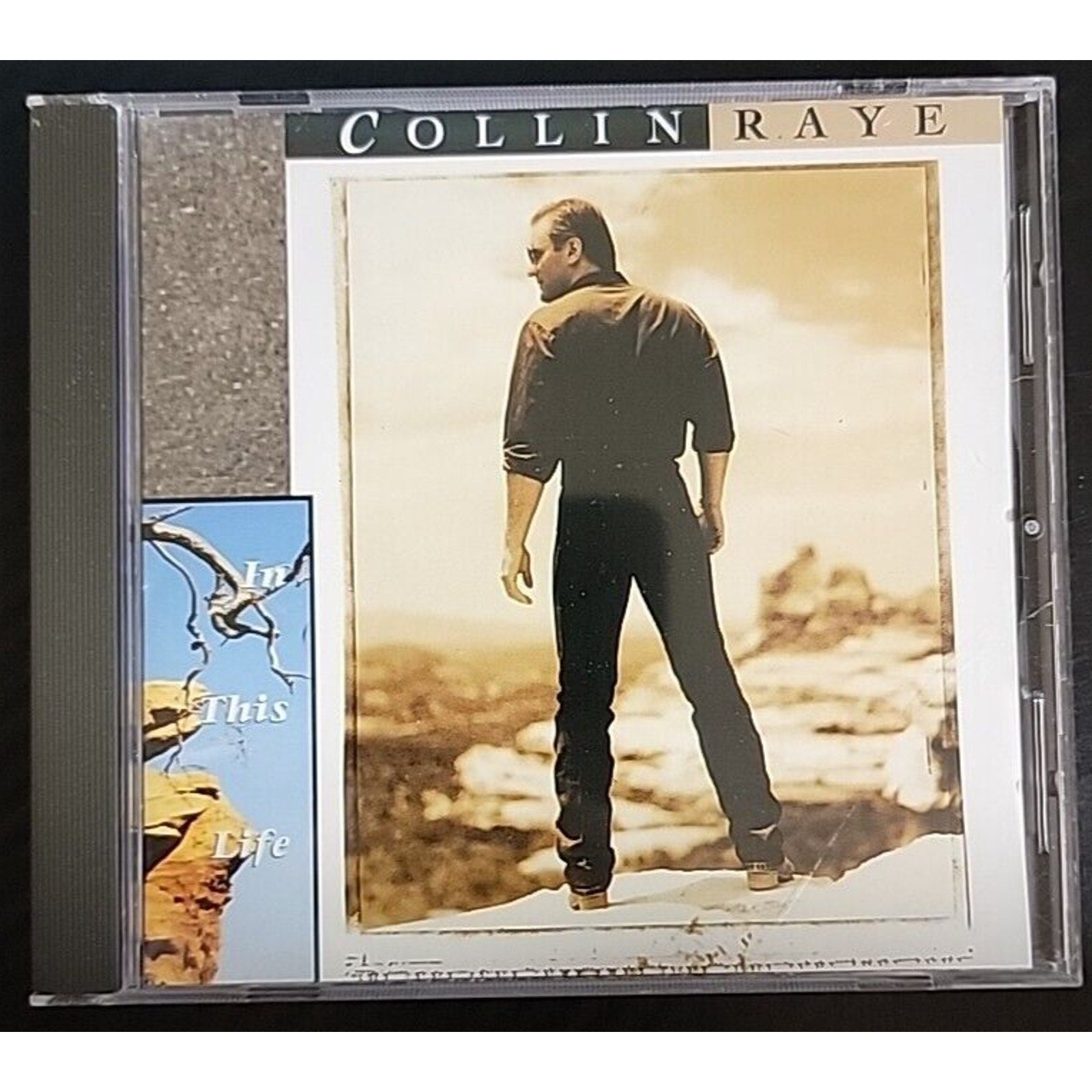 In This Life by Collin Raye (CD, Aug-1992, Epic)