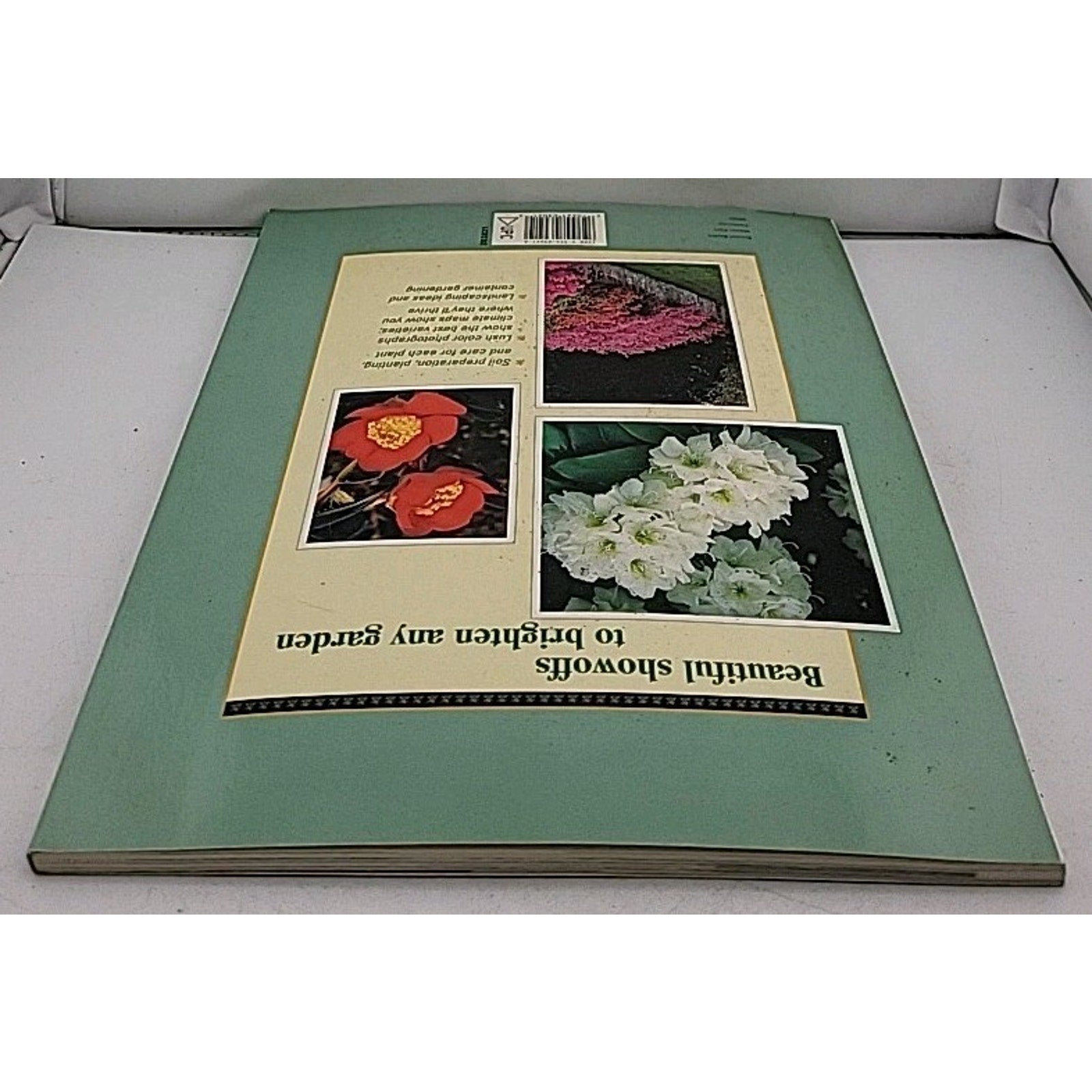 Azaleas, Rhododendrons and Camellias by H. Minns (1999, Trade Paperback)