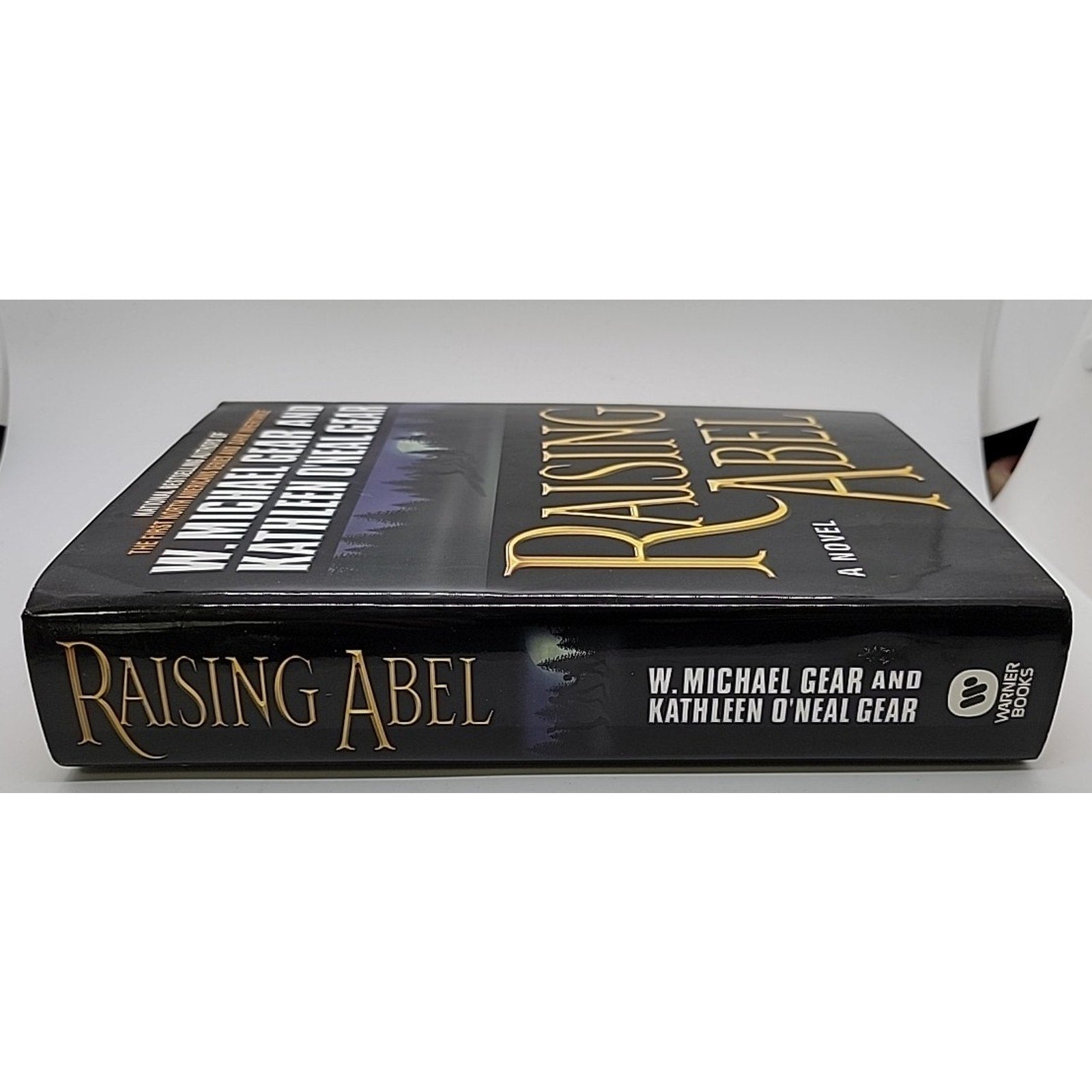 Raising Abel by W. Michael Gear and Kathleen O'Neal Gear (2002, Hardcover)