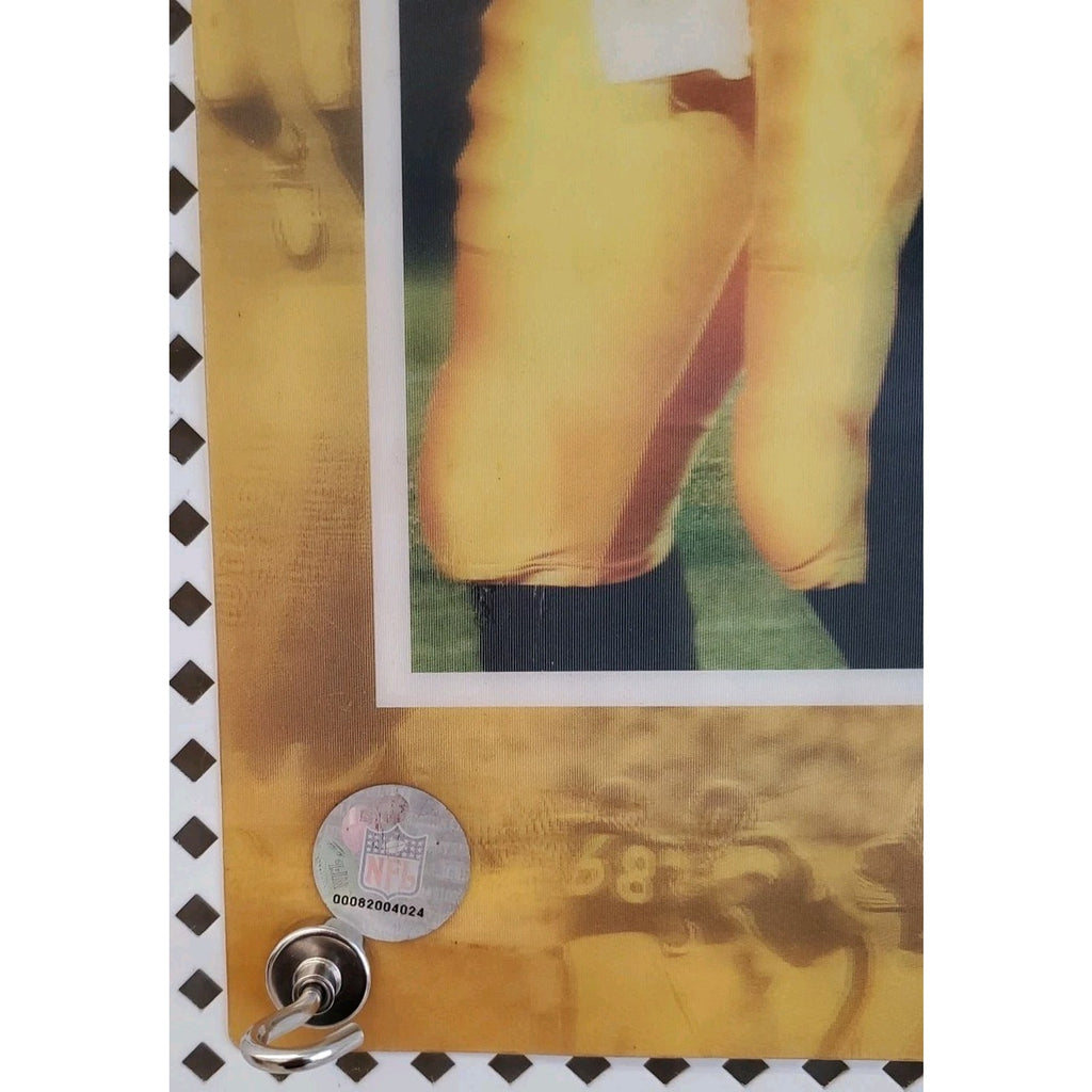Ben Roethlisberger 16x20 Poster