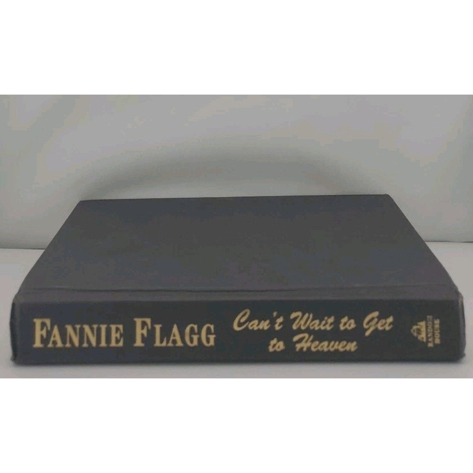 Can't Wait to Get to Heaven by Flagg, Fannie (Hardcover)