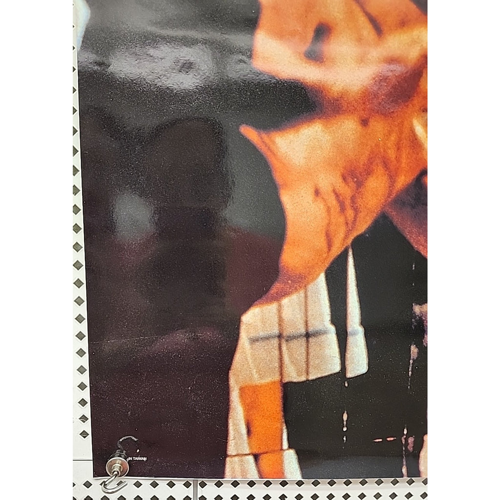 Bruce Lee 15x21 Poster