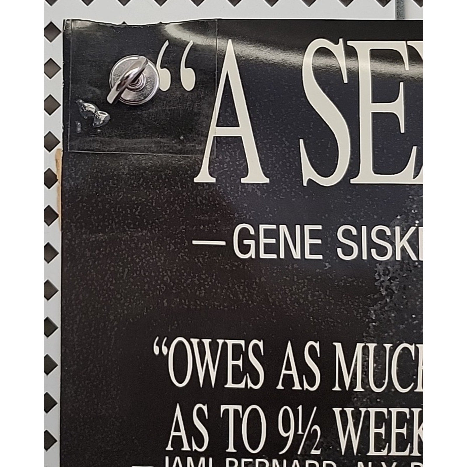 Girl On A Swing Movie Poster Meg Tilly Original Video Store Promo 1990 27x40