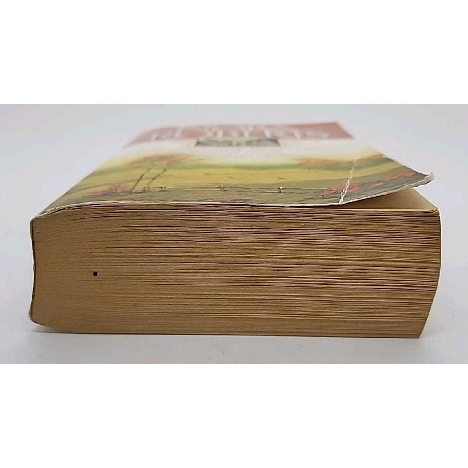 MacKade Brothers: Rafe and Jared by Nora Roberts (2009, Mass Market)