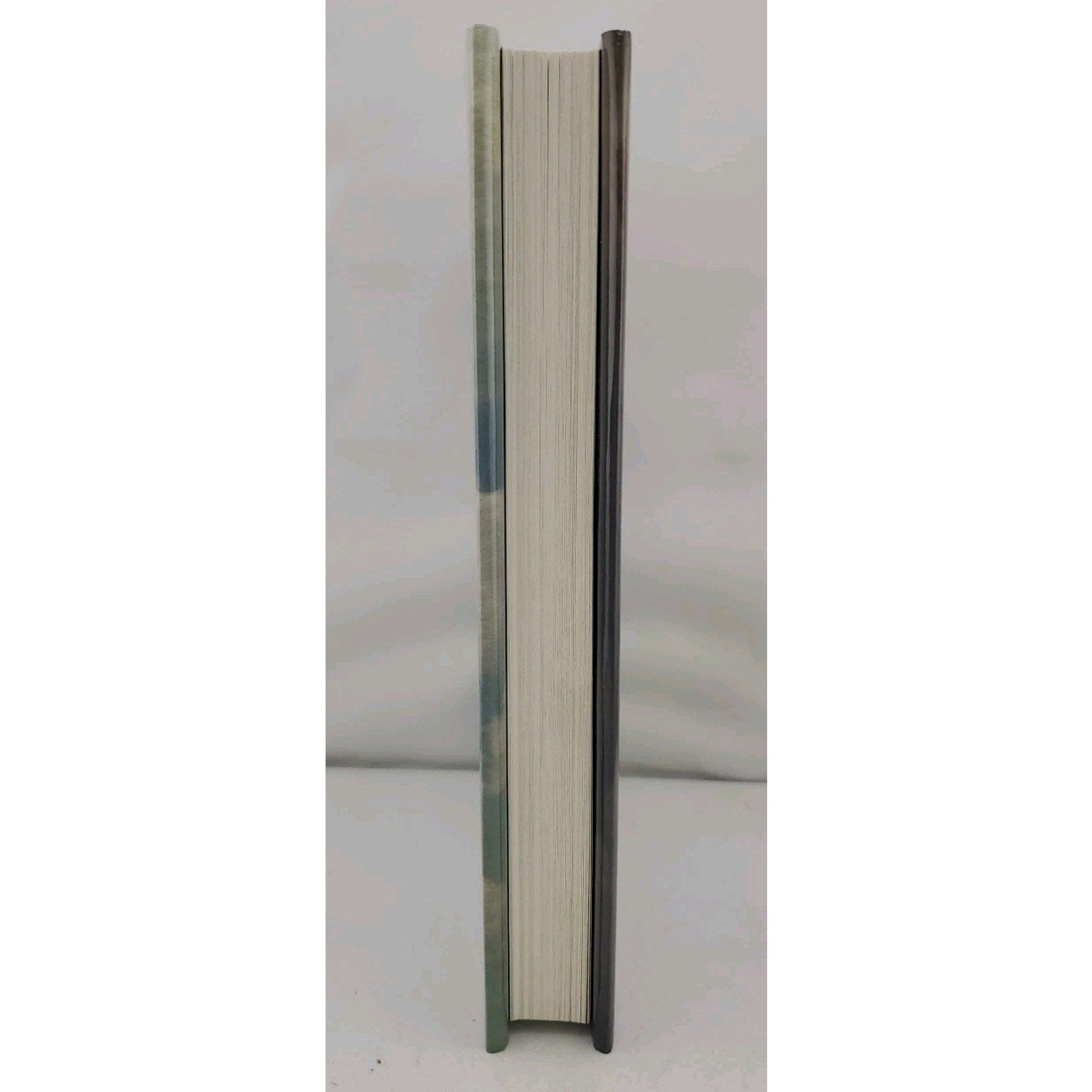 Balcony of Fog by Rich Shapero (2020, Hardcover)