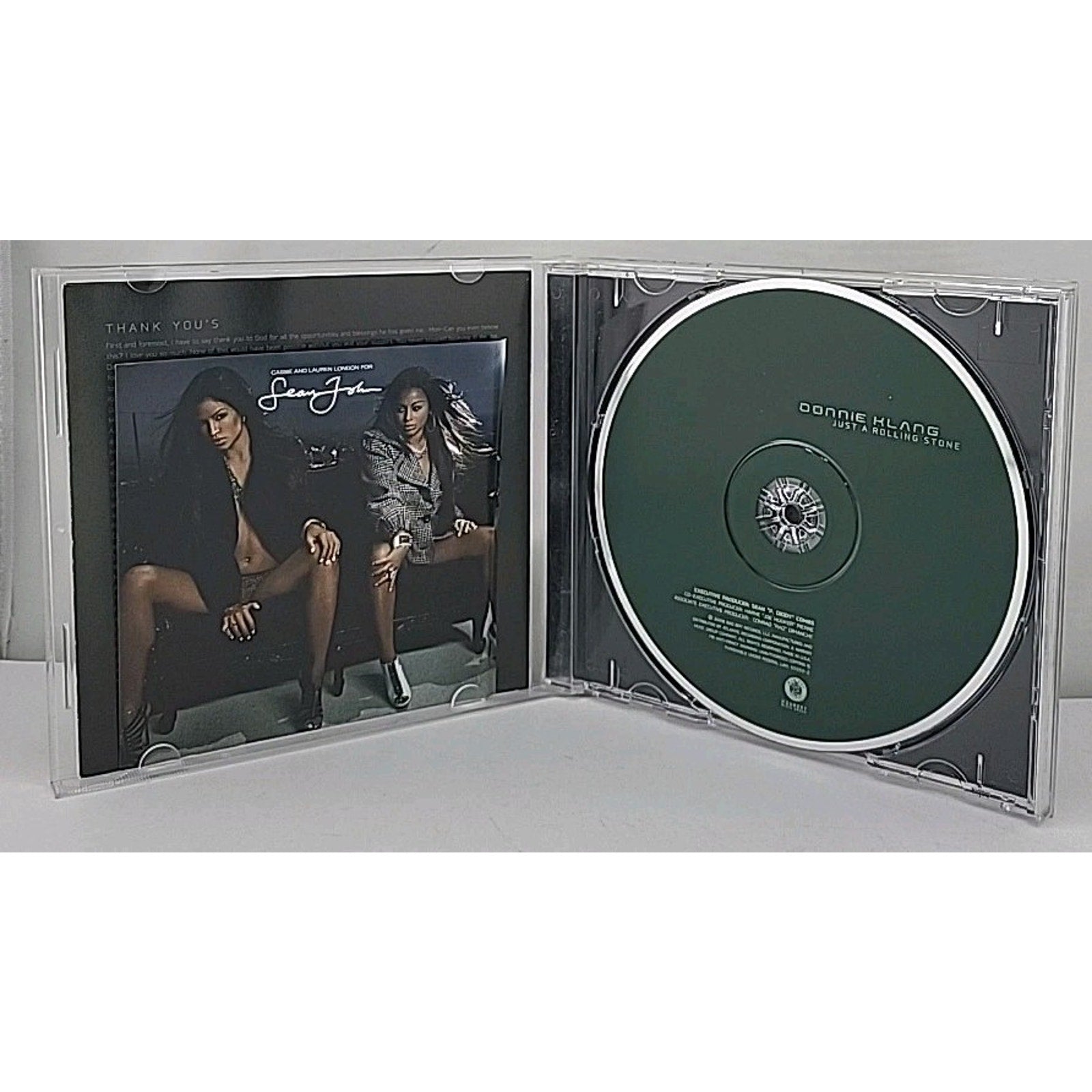 Just a Rolling Stone by Donnie Klang (CD, 2008)
