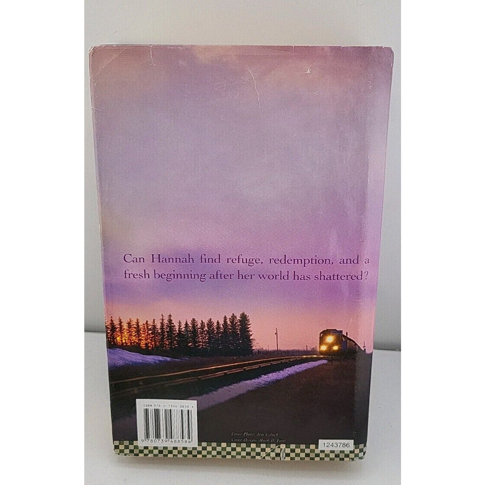 When the Morning Comes Large Print (Sisters of the Quilt #2)
