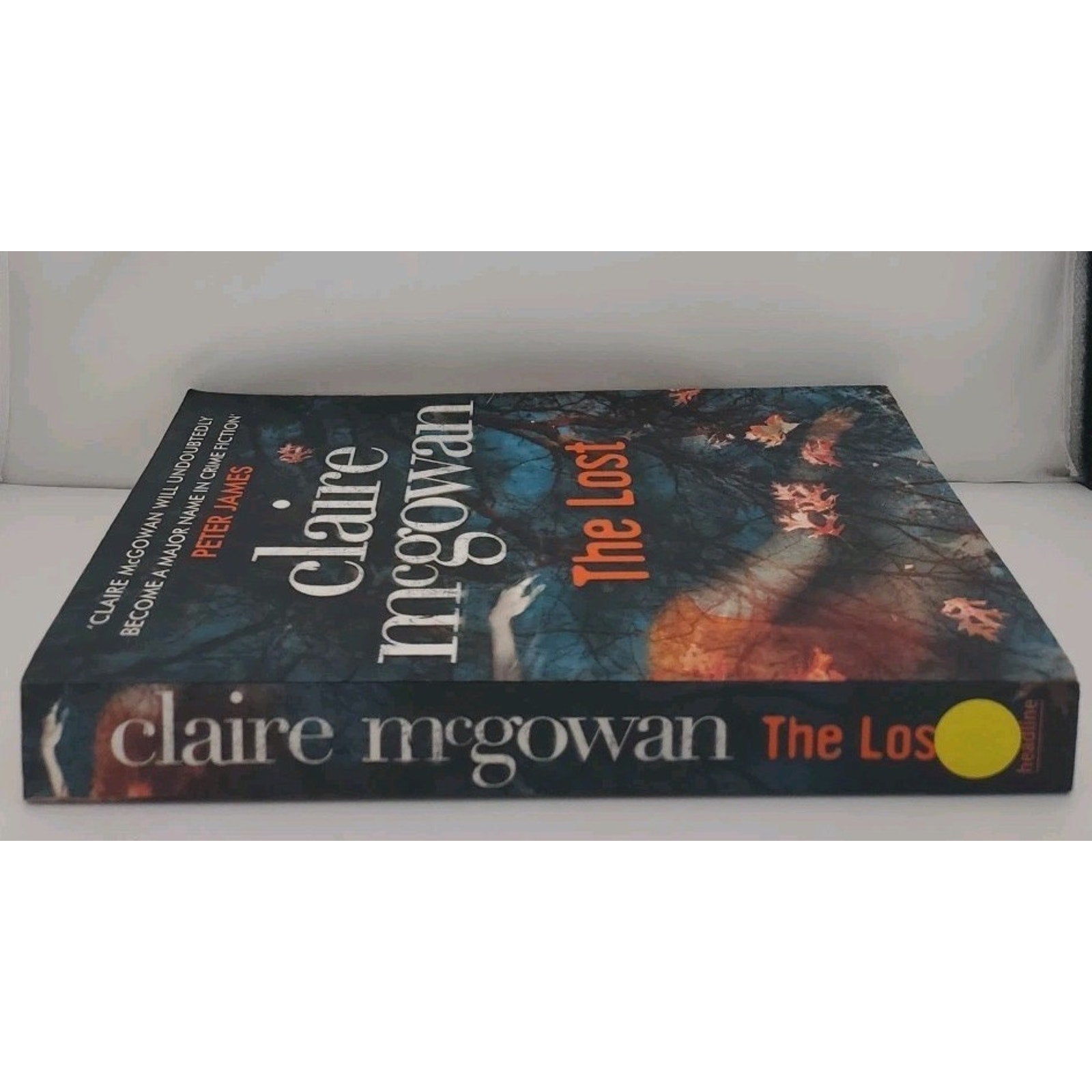 Lost by Claire McGowan (2013, Trade Paperback)