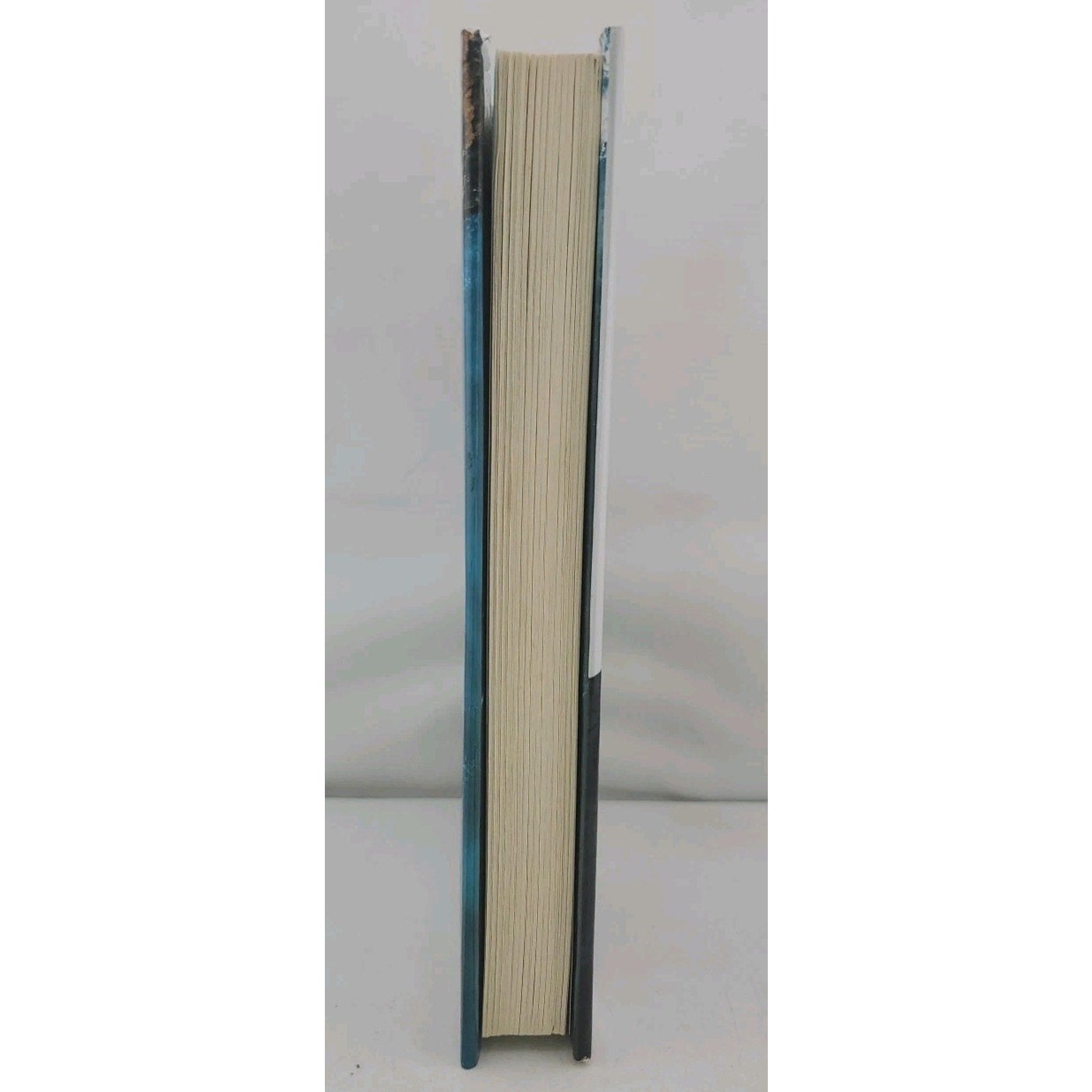 Without a Trace : A Novel by Danielle Steel (2023, Hardcover)