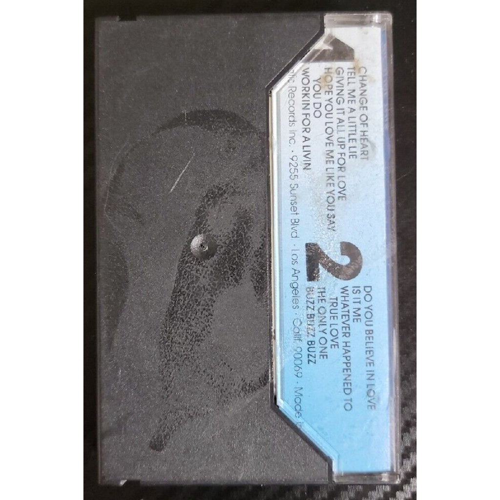 Huey Lewis And The News Picture This (Cassette)