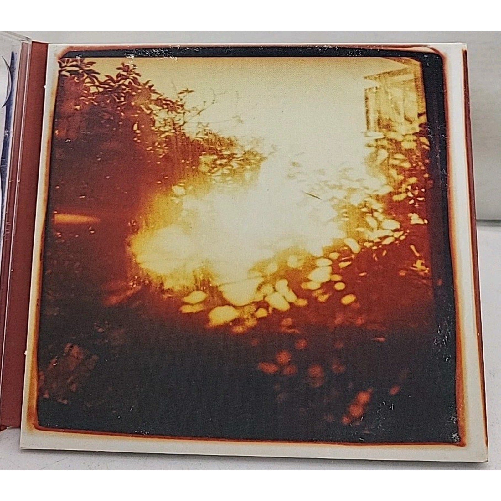 New Earth Mud by The Chris Robinson Brotherhood (CD, 2002)