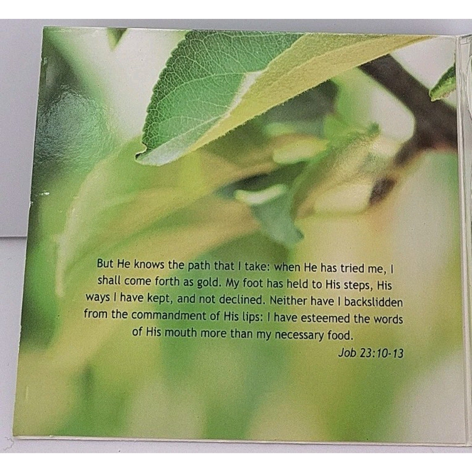 Diet According To The Scriptures By Paul Nison CD