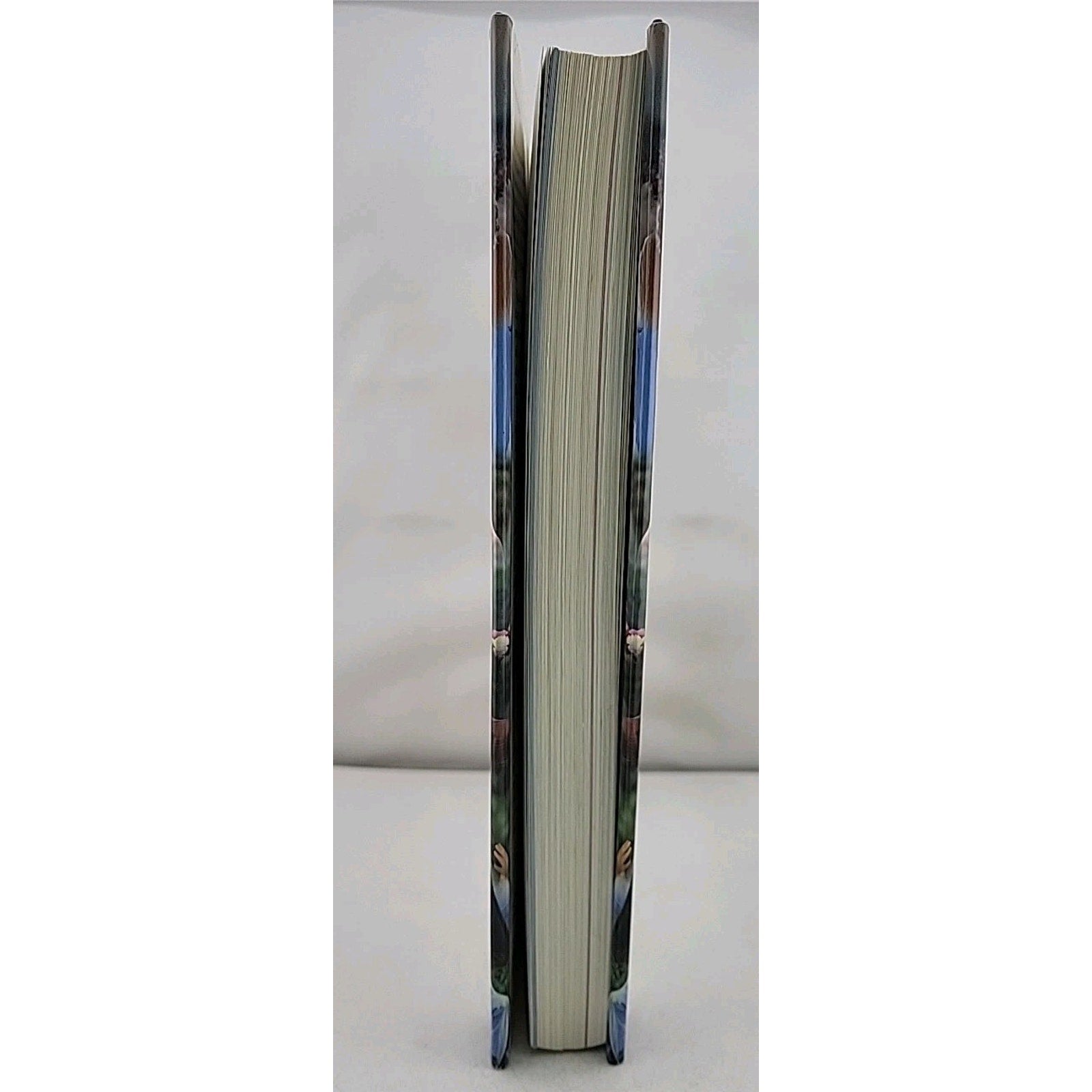 Mayo Clinic Heart Book : The Ultimate Guide to Heart Health by Bernard J. Gersh