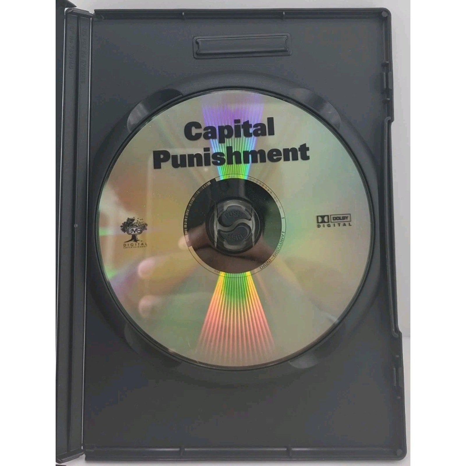 Capital Punishment (DVD, 2004)