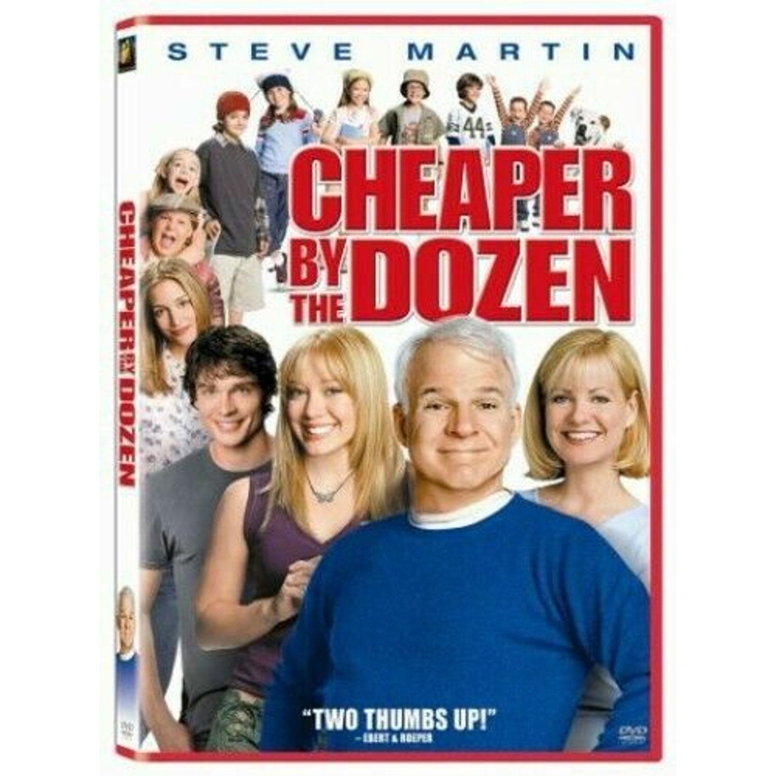 Cheaper by the Dozen (DVD, 2004)