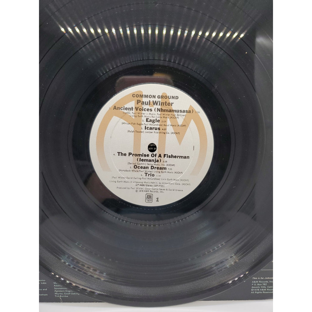 Paul Winter Common Ground (Record)