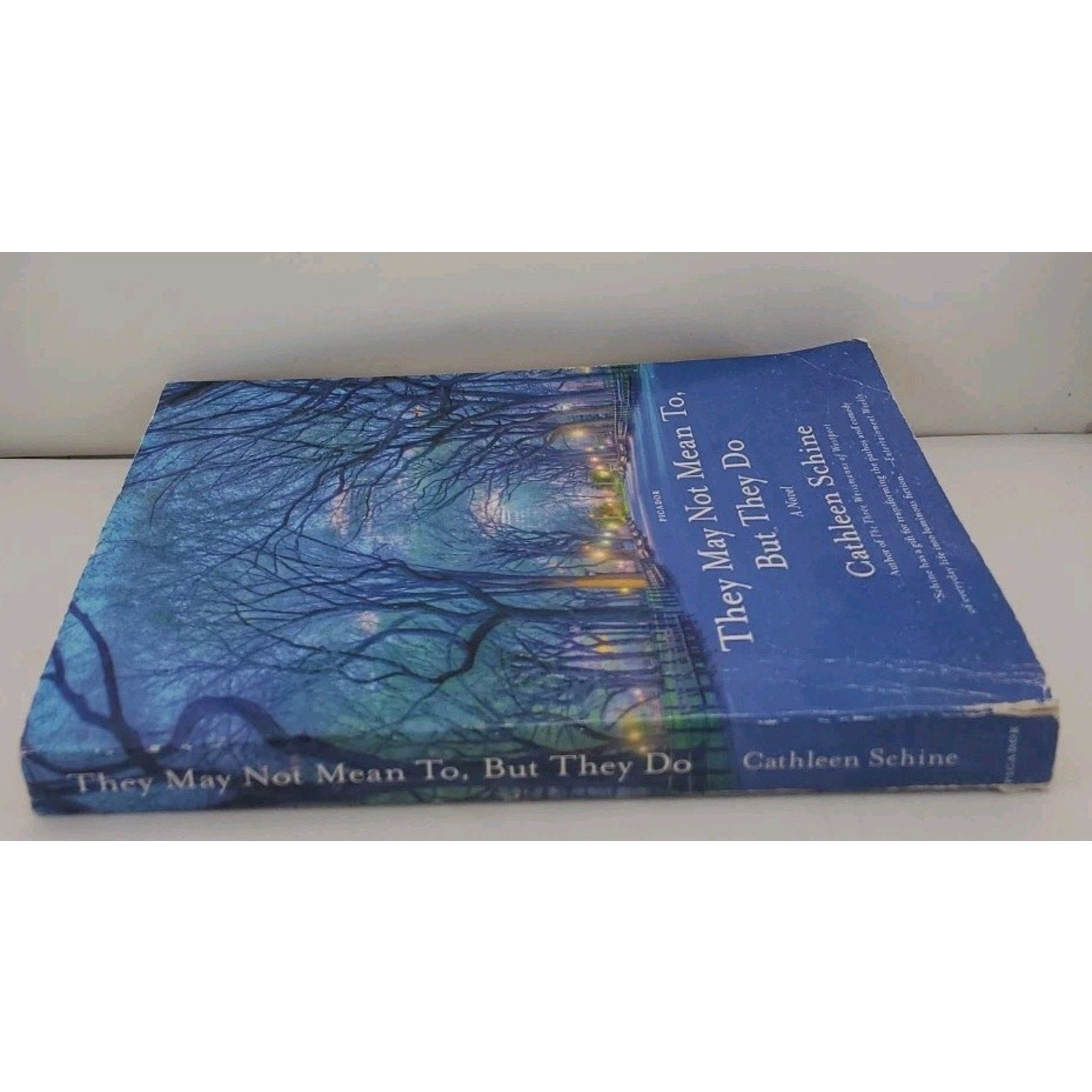 They May Not Mean to, but They Do : A Novel by Cathleen Schine (2017, Trade...