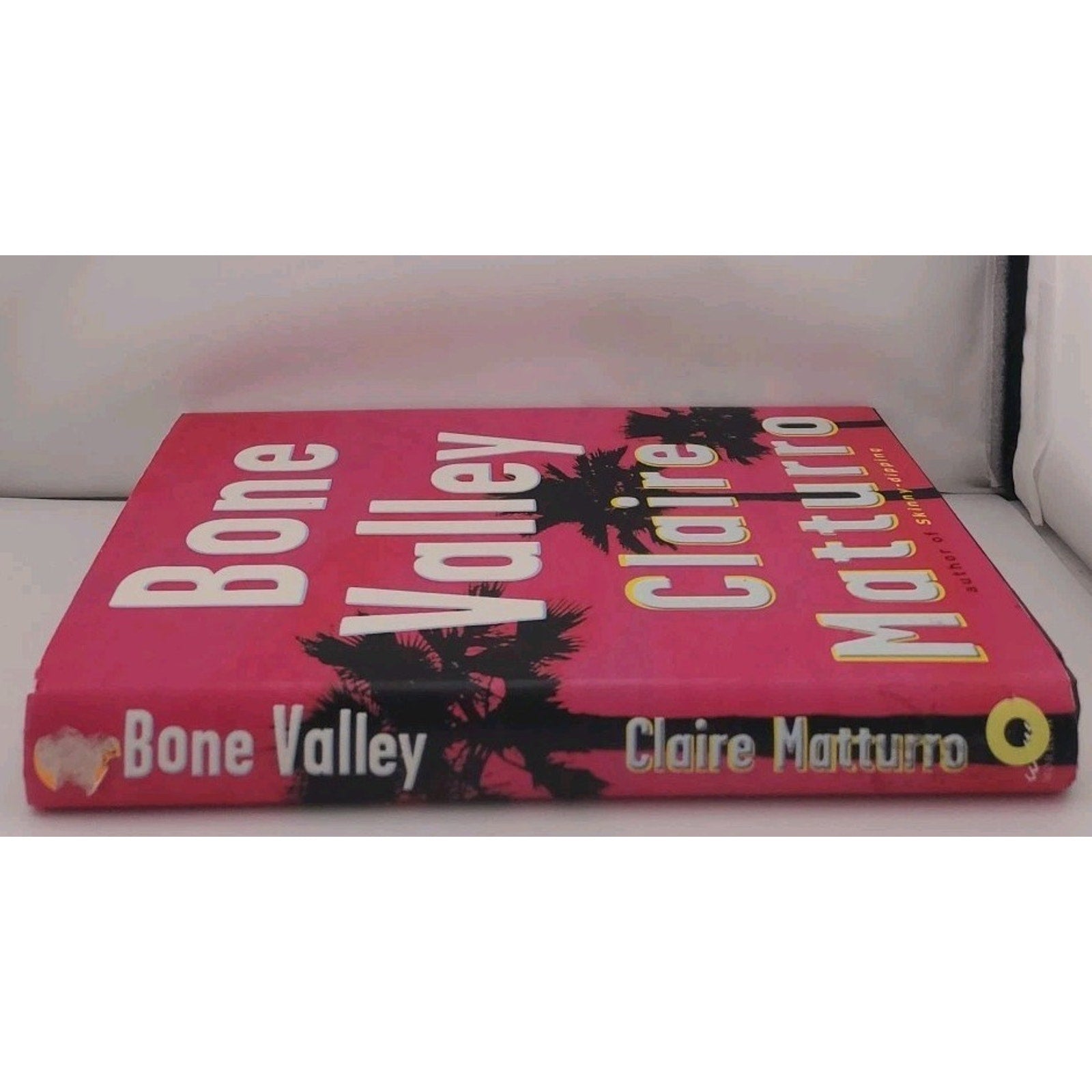 Bone Valley by Claire Matturro (2006, Hardcover)