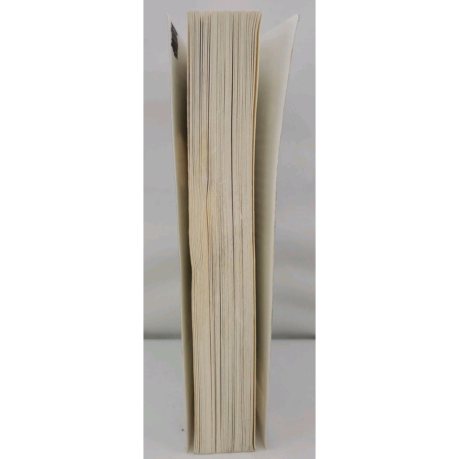 Icy Sparks : Oprah's Book Club (a Novel) by Gwyn Hyman Rubio (2001, Uk-B Format