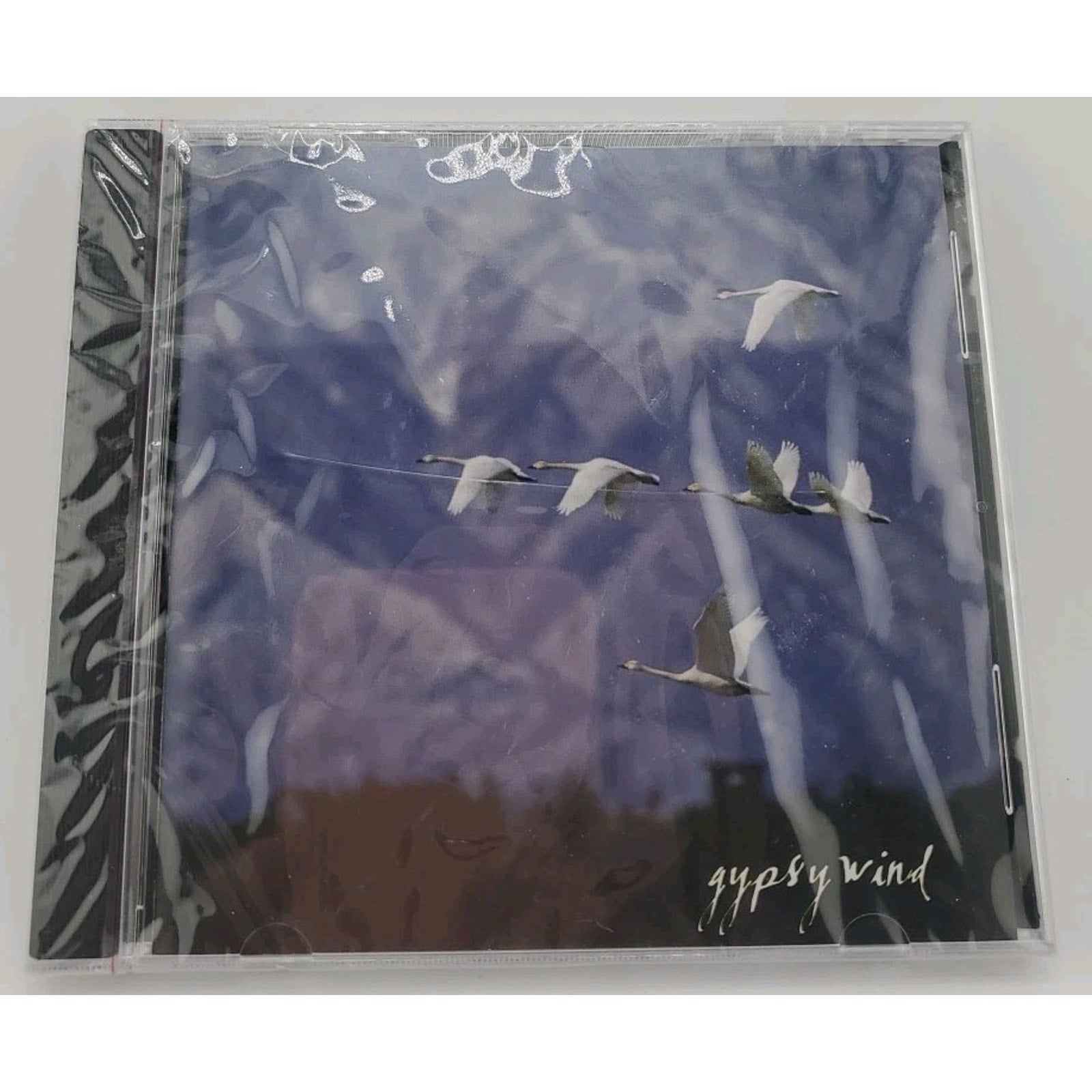 Gypsy Wind Paul McKay And The Perfect Strangers (CD) *Brand New*