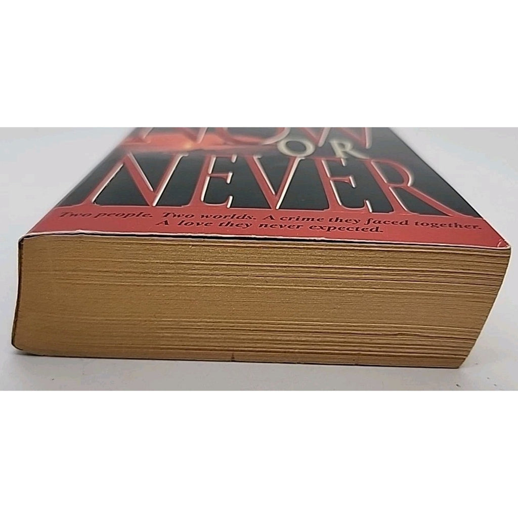 Now or Never : A Novel by Elizabeth Adler (1997, Mass Market)