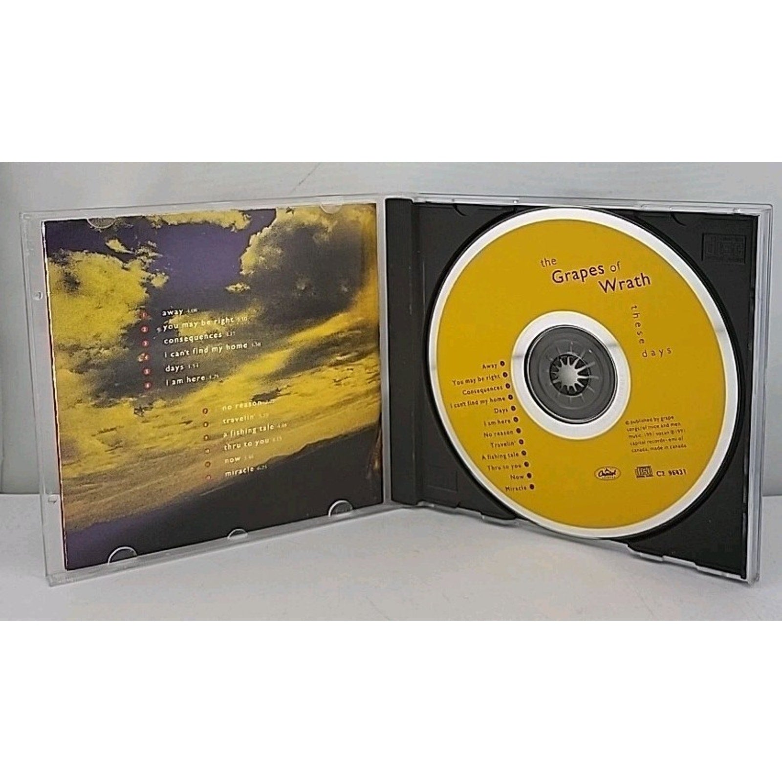 These Days by The Grapes of Wrath (CD, Aug-1991, Capitol/EMI Records)