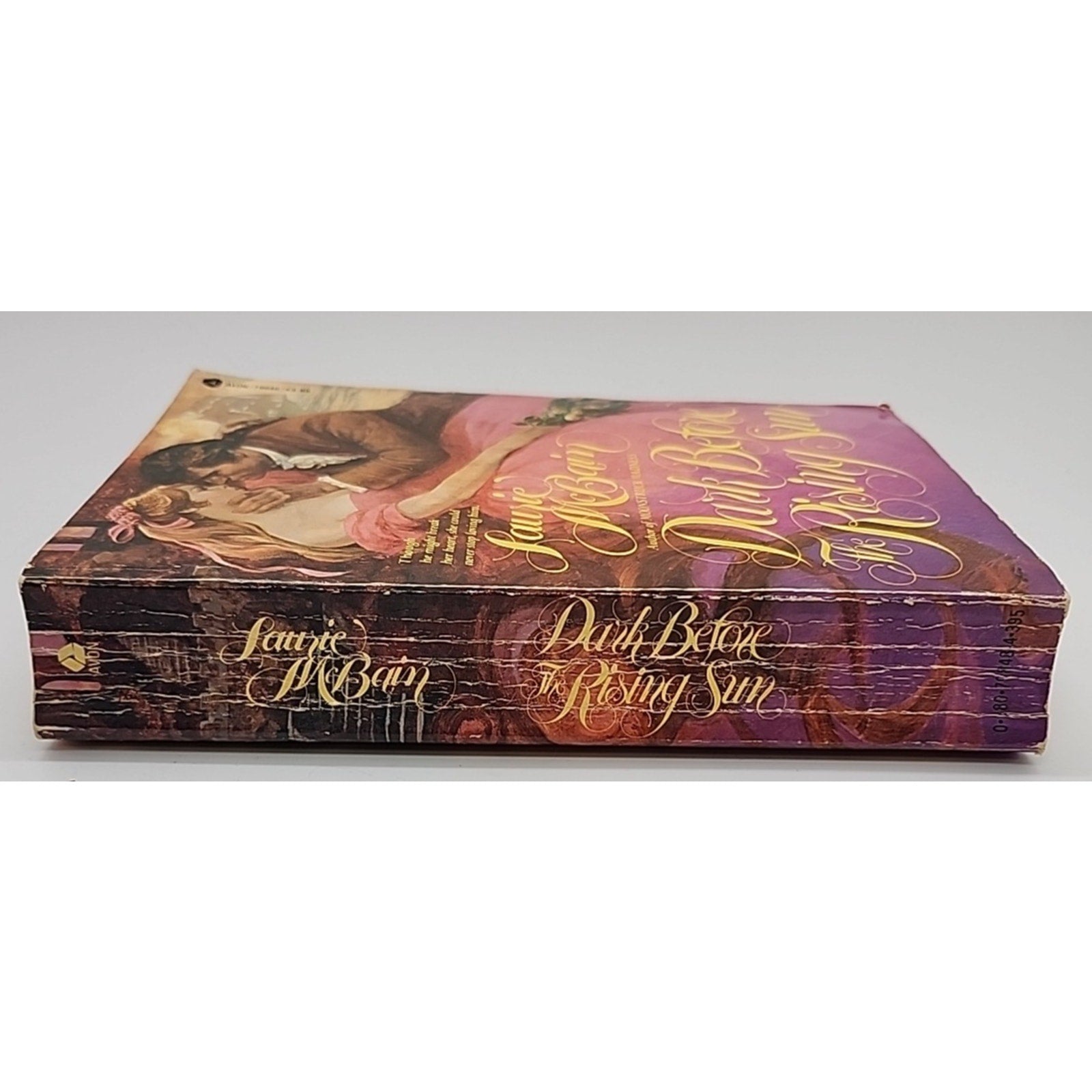 Dark Before the Rising Sun Mass Market Paperbound Laurie McBain