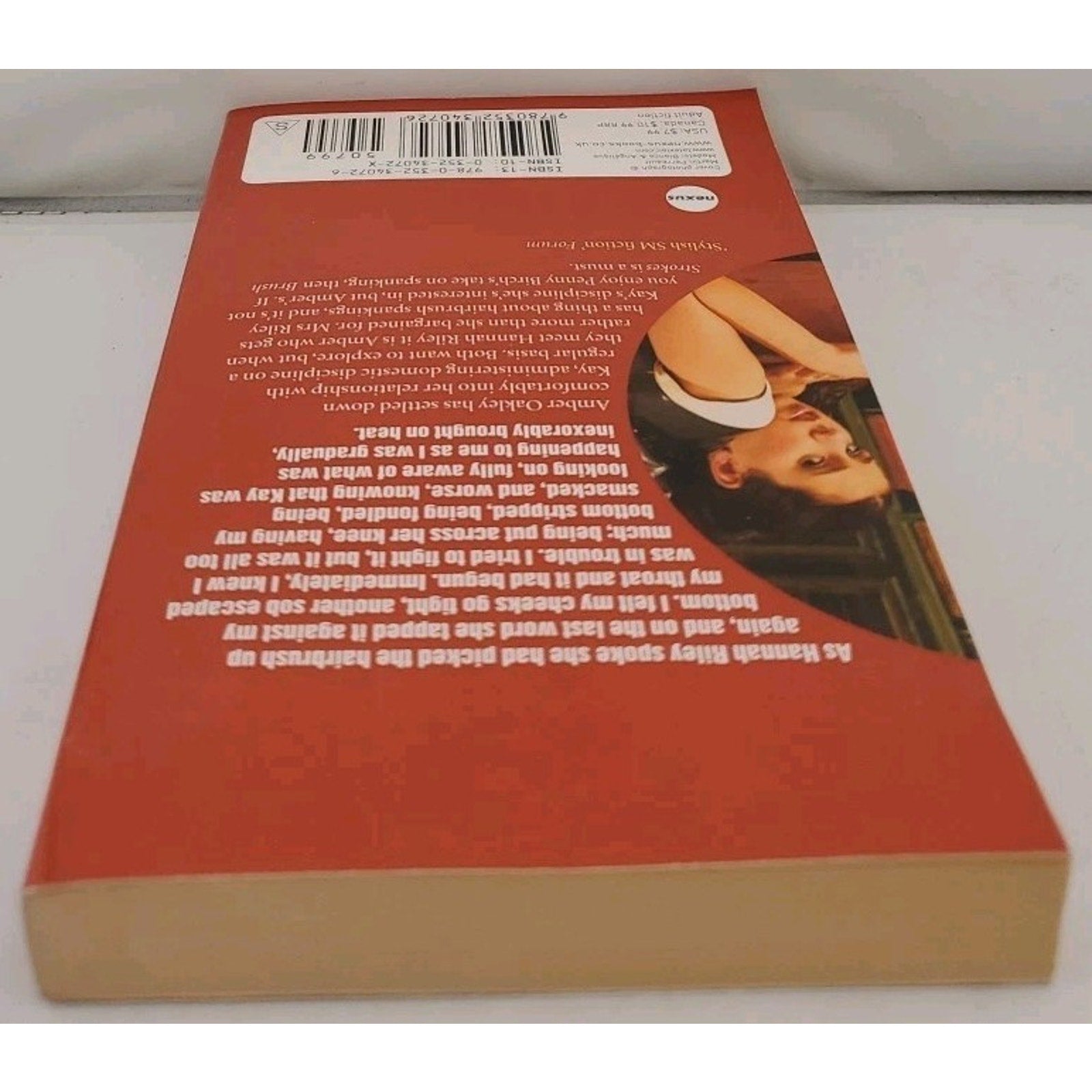 Brush Strokes by Penny Birch (2006, Mass Market)