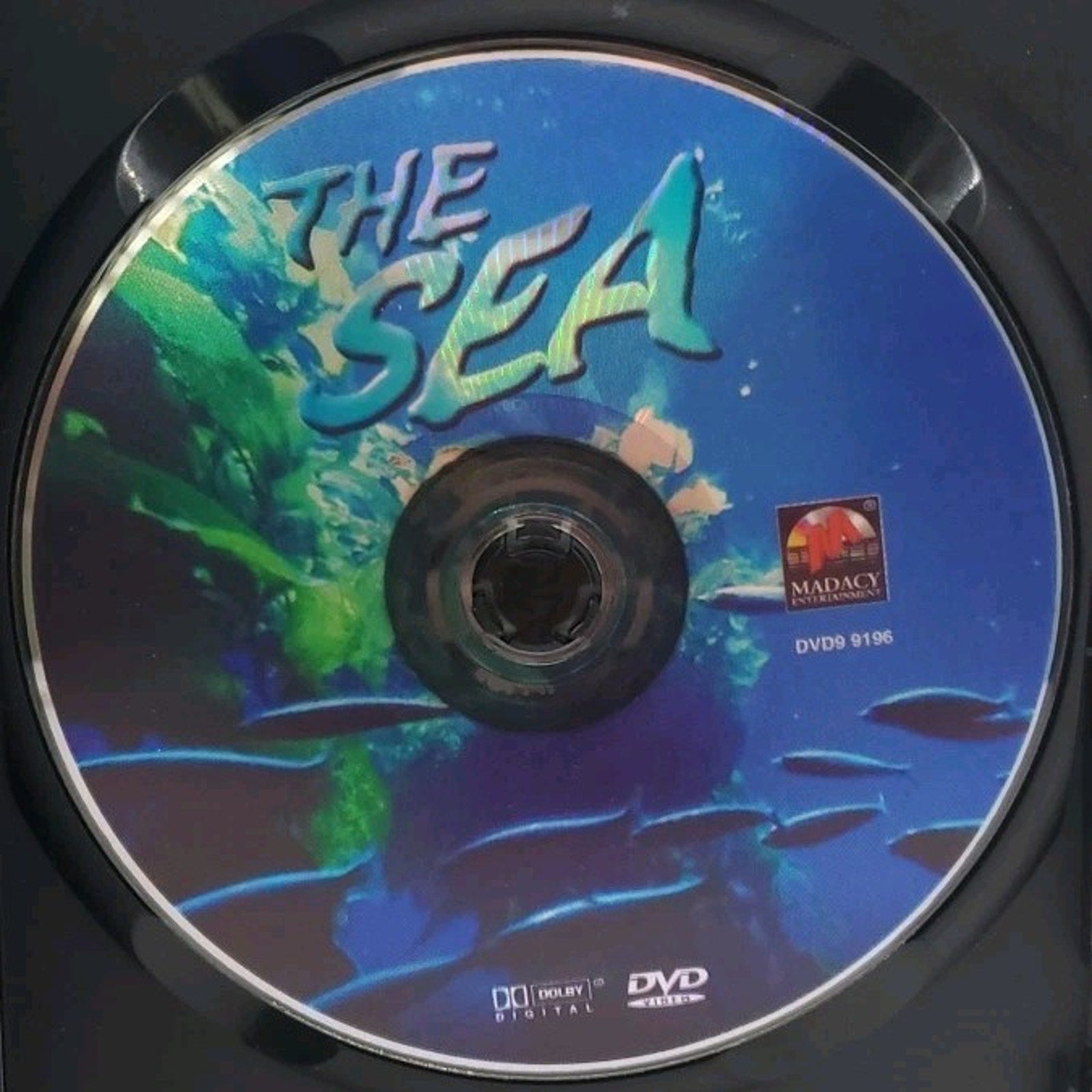 The Sea (DVD, 2000)