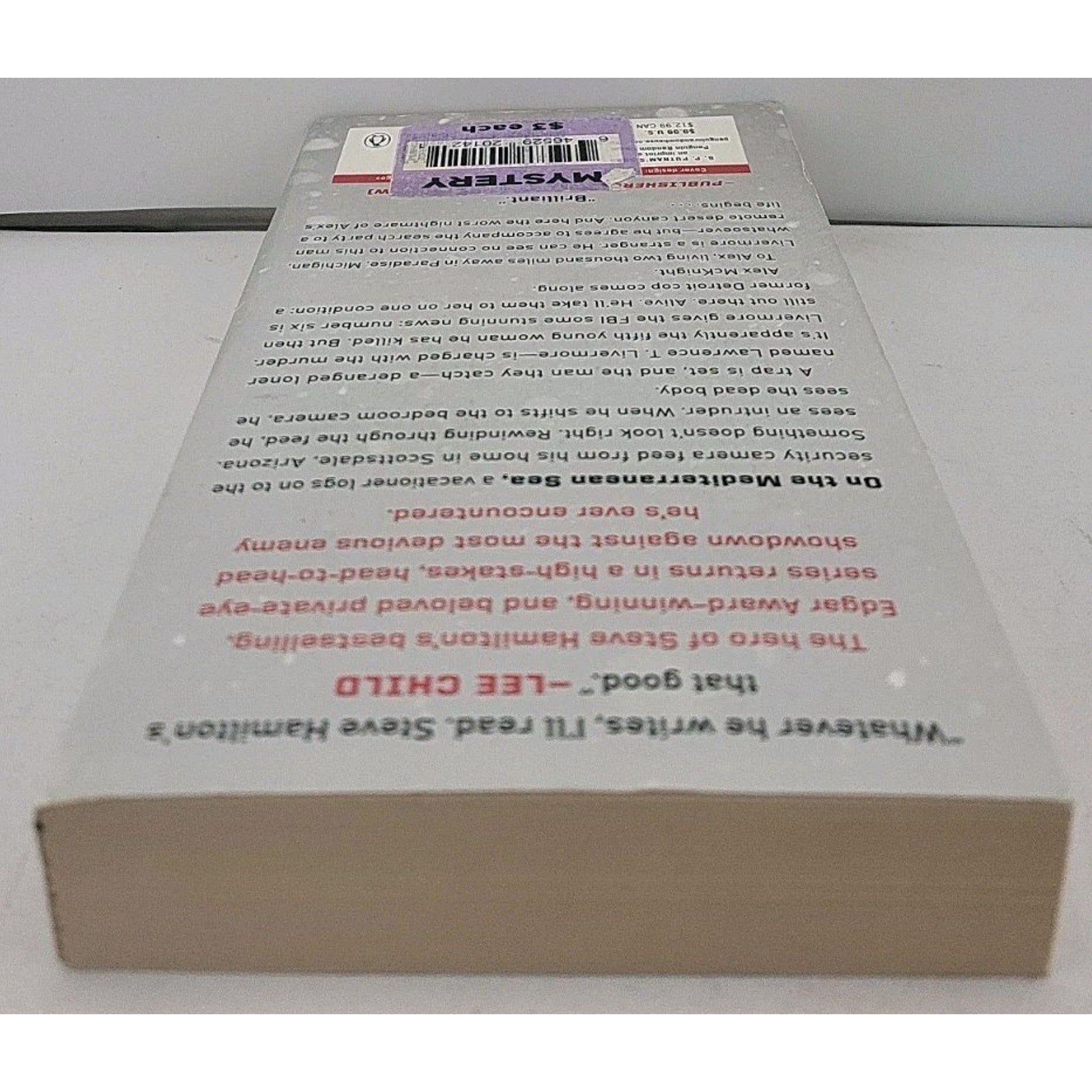 Dead Man Running by Steve Hamilton Paperback Book
