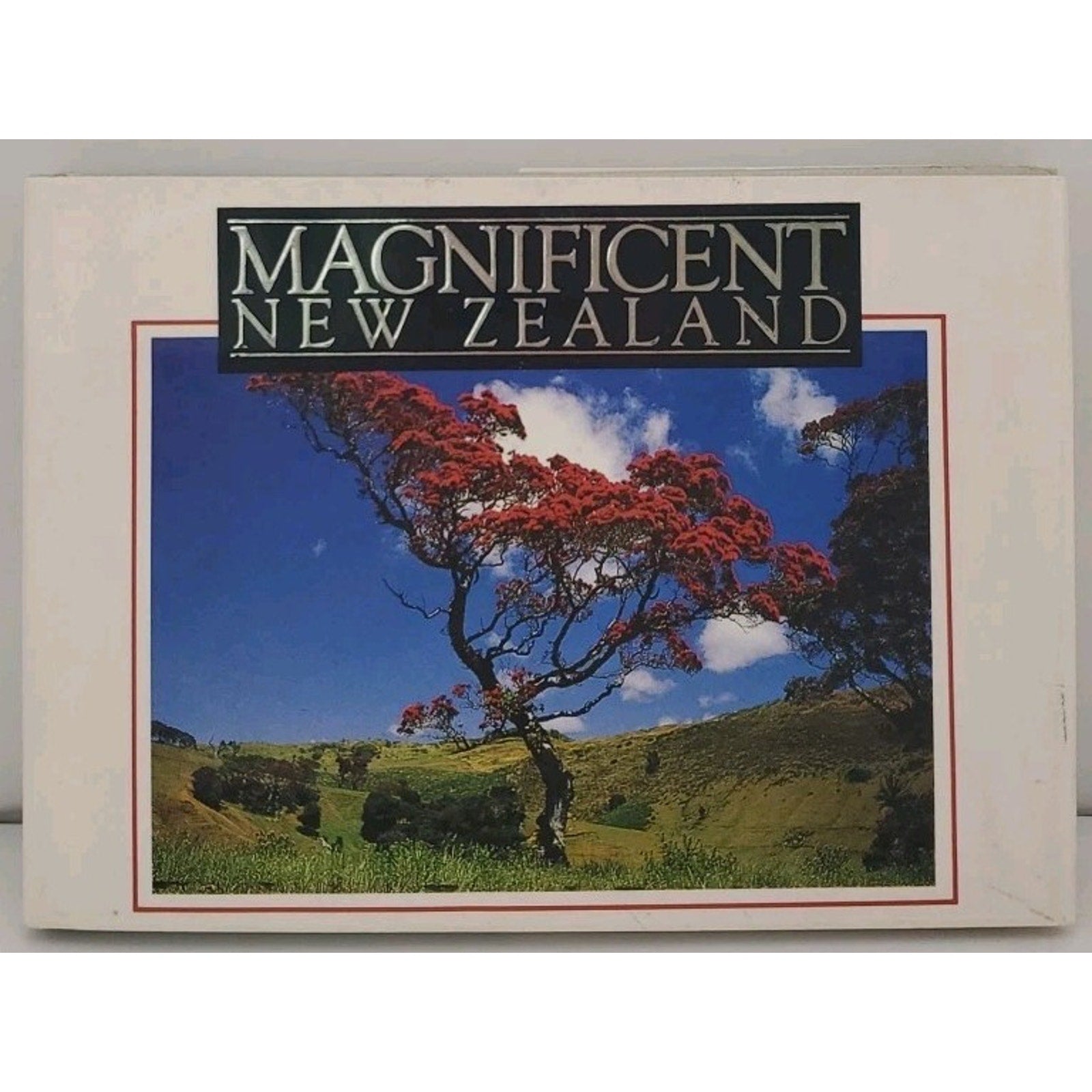 Magnificent New Zealand - By Bennetts (Hardcover)