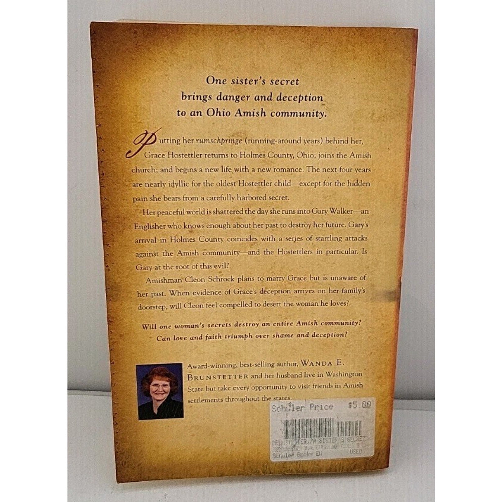 Sister's Secret by Wanda E. Brunstetter (2007, Trade Paperback)