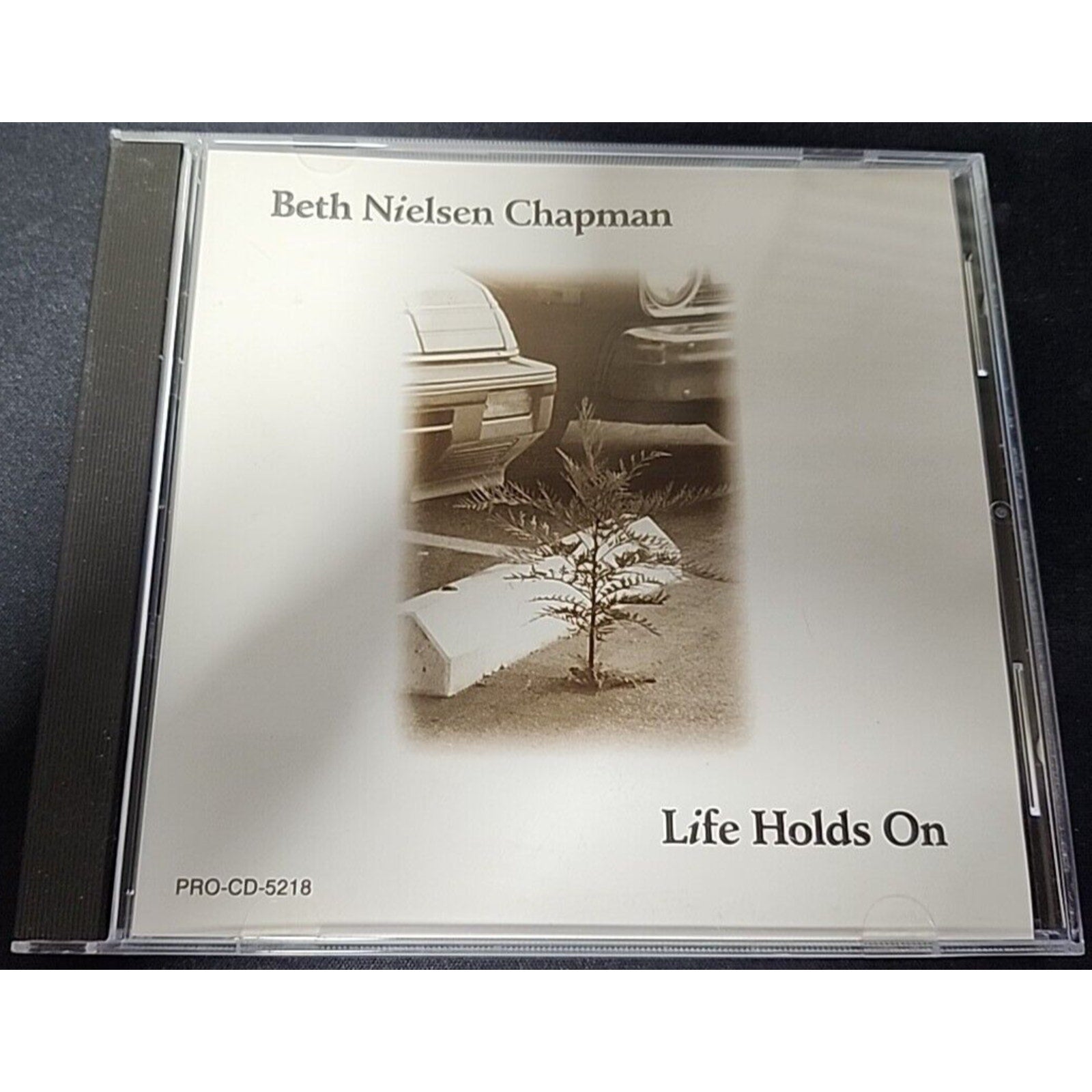 Beth Nielsen Chapman Life Holds On (CD)