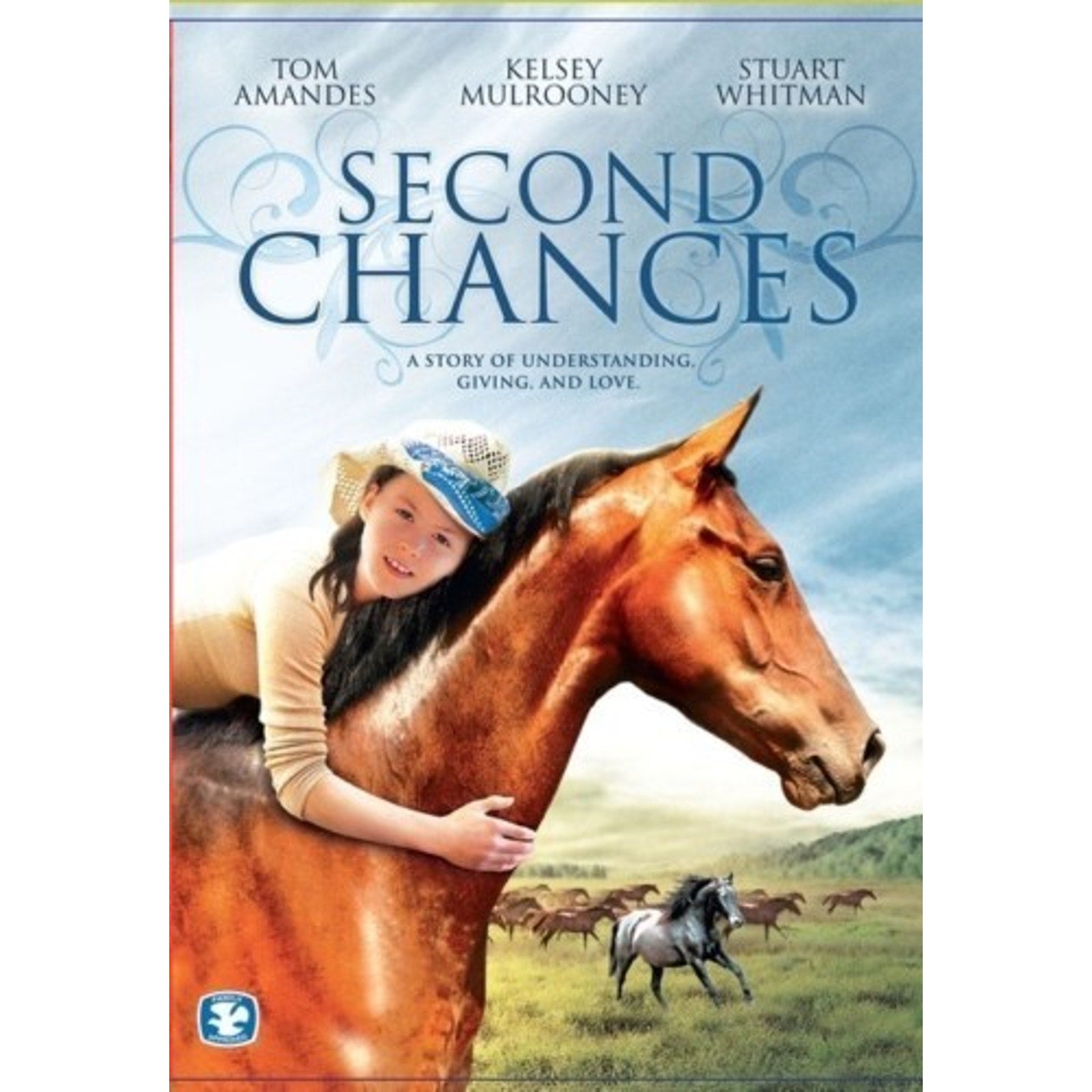 Second Chances (DVD, 2009)