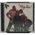 Wonderful Christmas Time! by The McAuley Boys (CD, 1997, Popular)