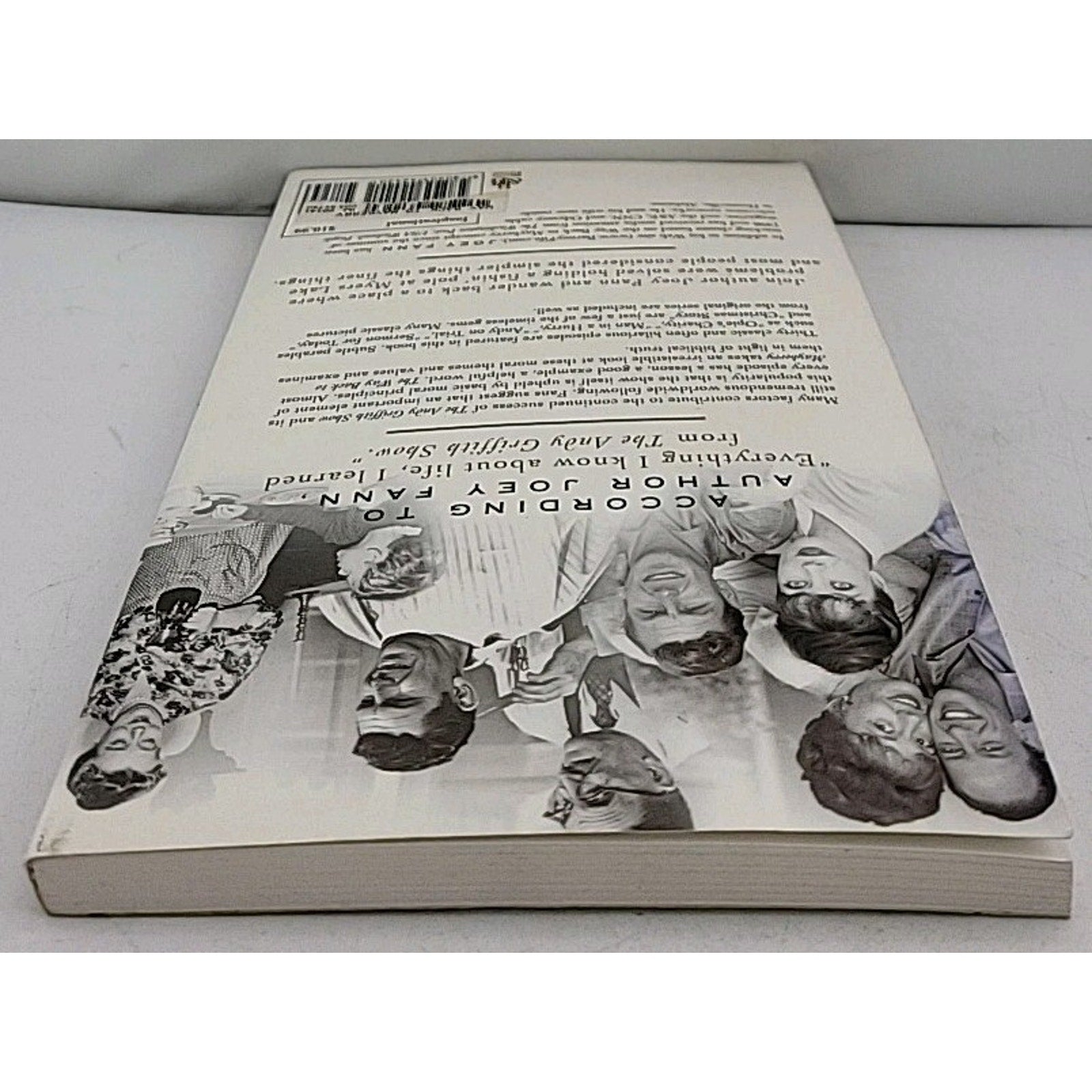 Way Back to Mayberry : Lessons from a Simpler Time by Joey Fann (2001, Trade...