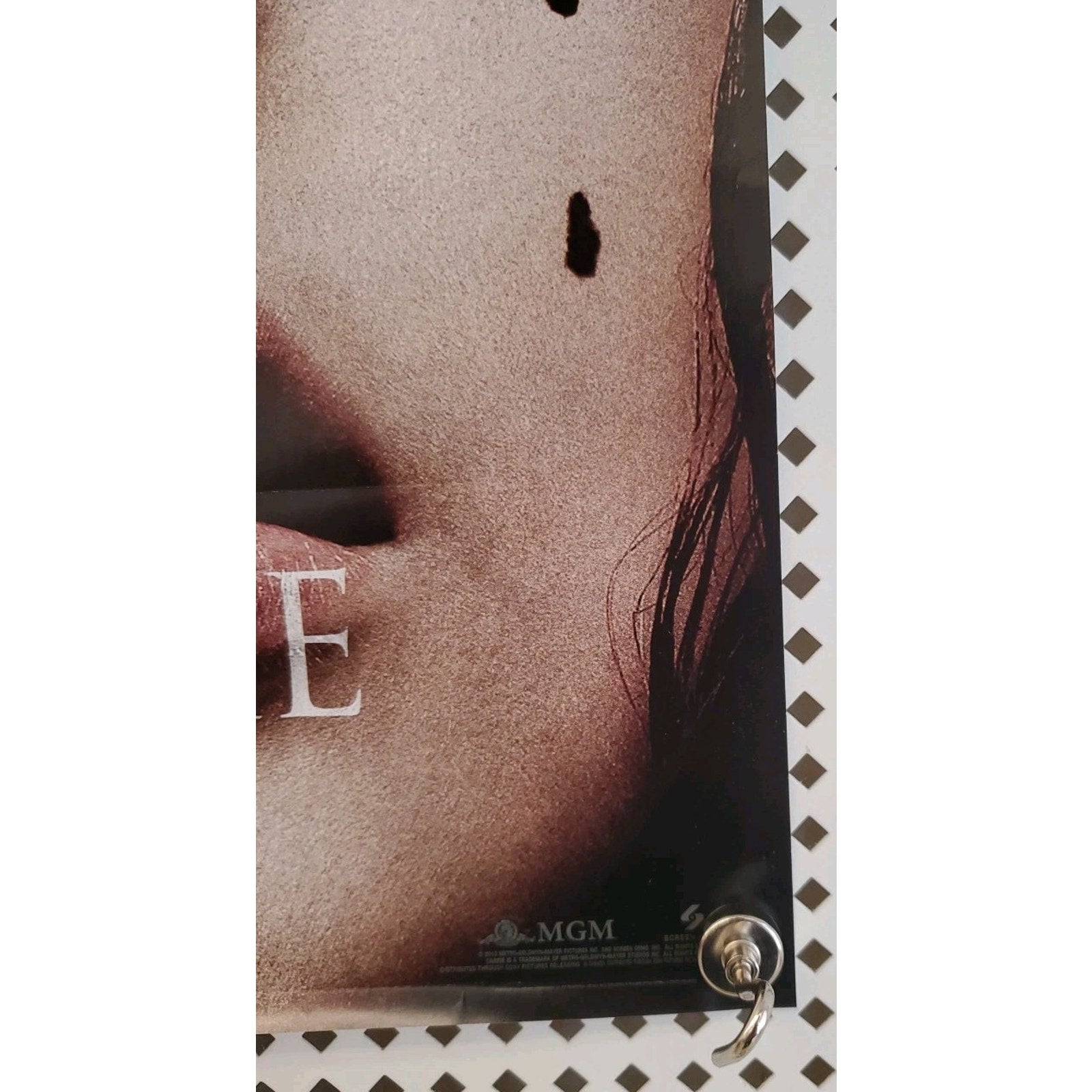 You Will Know Her Name 12x17 Movie Poster
