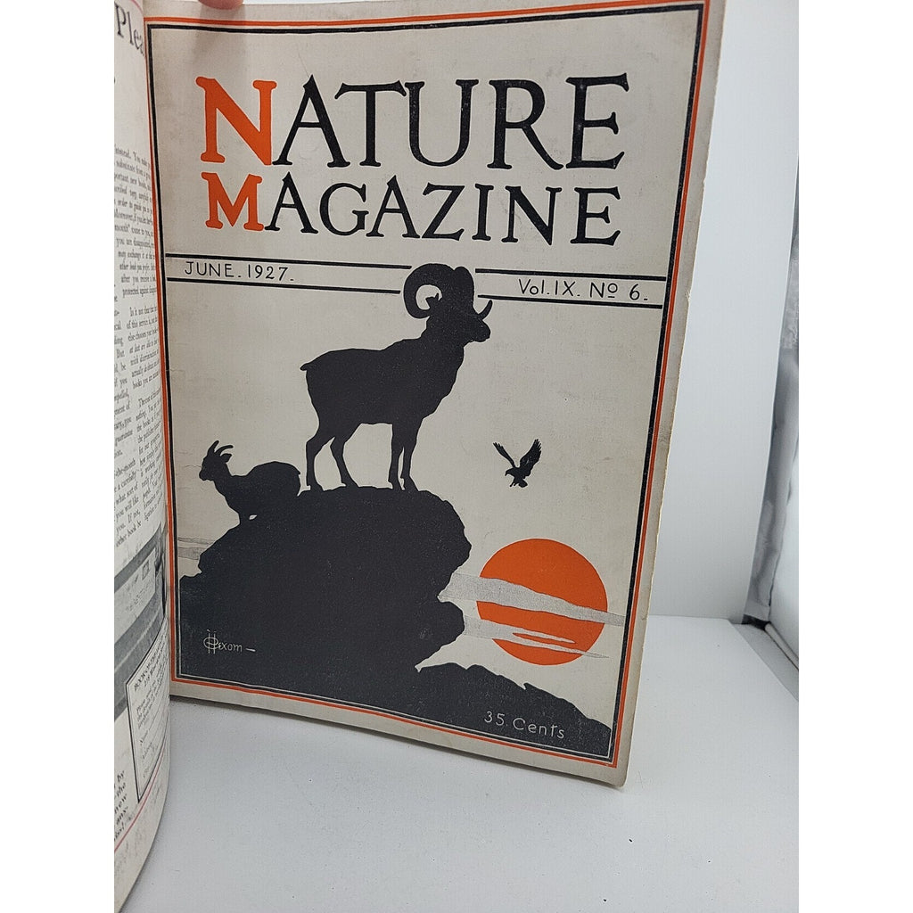 1927 Nature Magazine-12 Months In Embossed Green Leather Album Texas Issue.