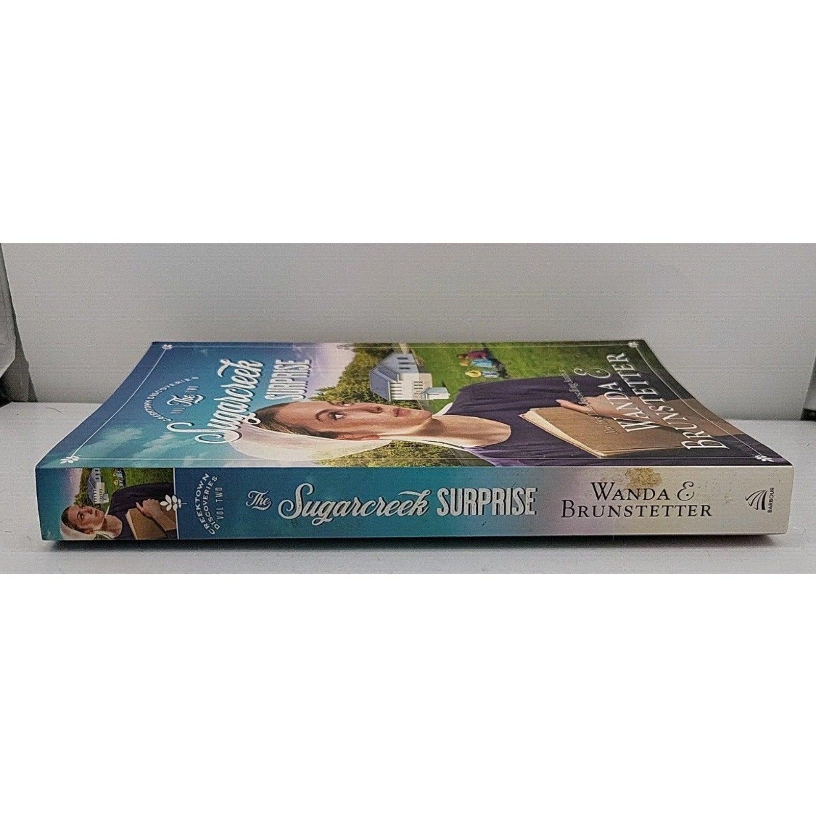 Sugarcreek Surprise by Wanda E. Brunstetter (2022, Trade Paperback)