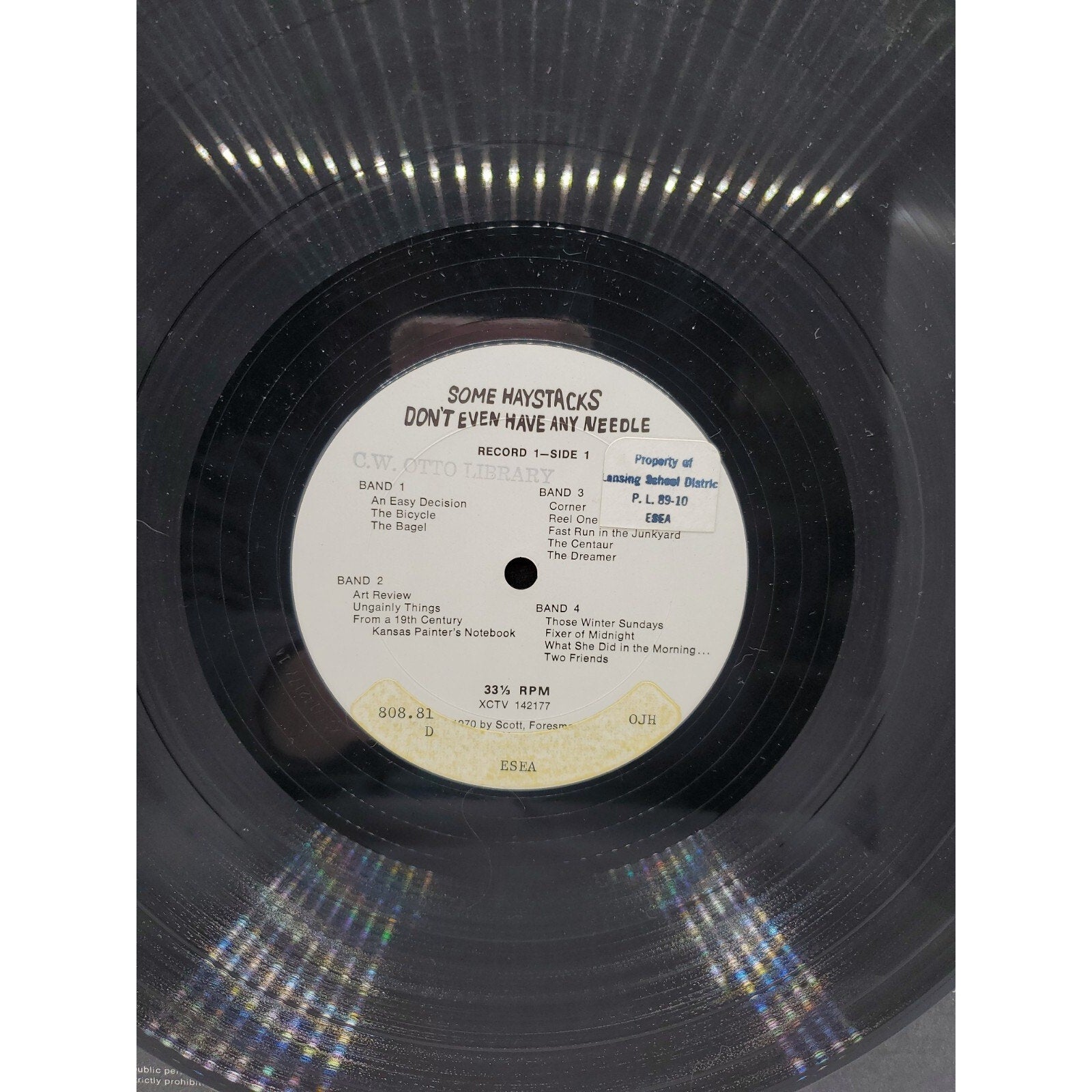 Some Haystacks Don't Even Have Any Needle (Record)