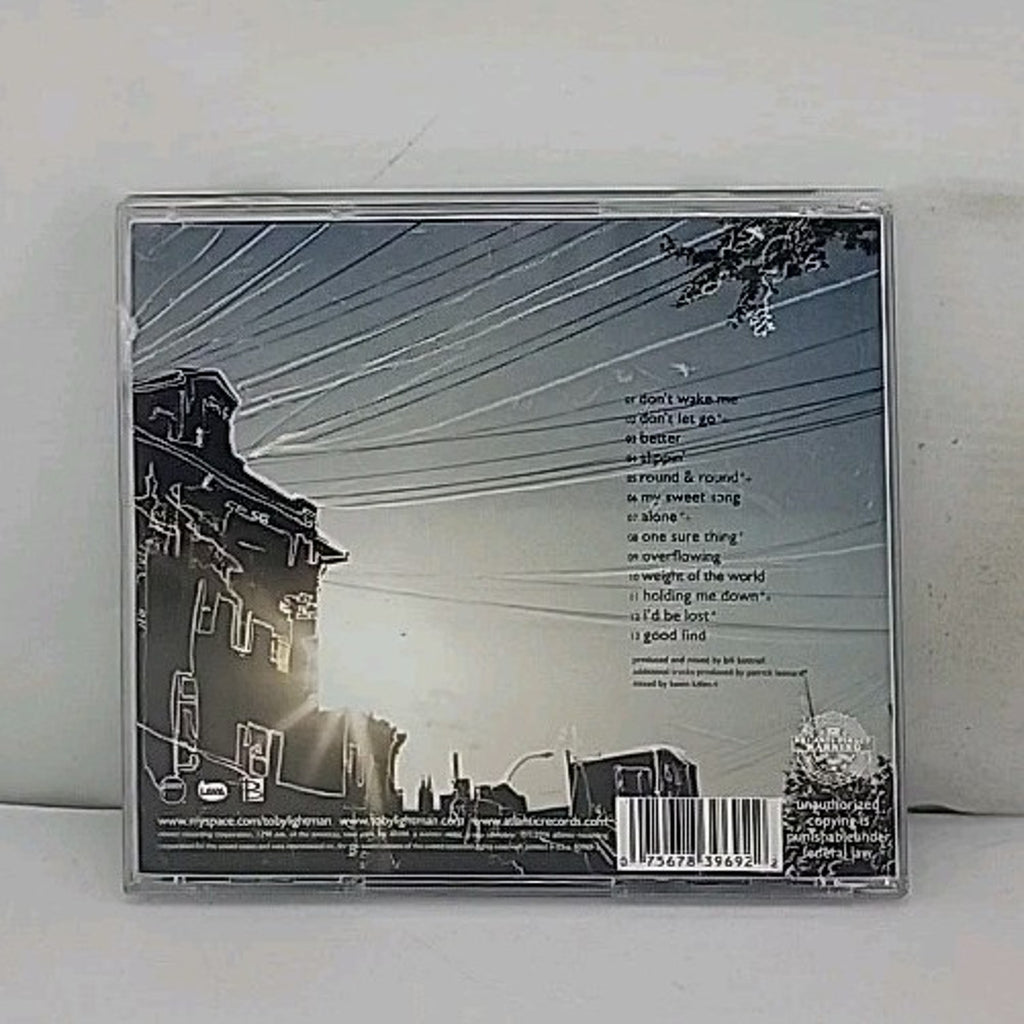Bird on a Wire by Toby Lightman (CD, 2006)