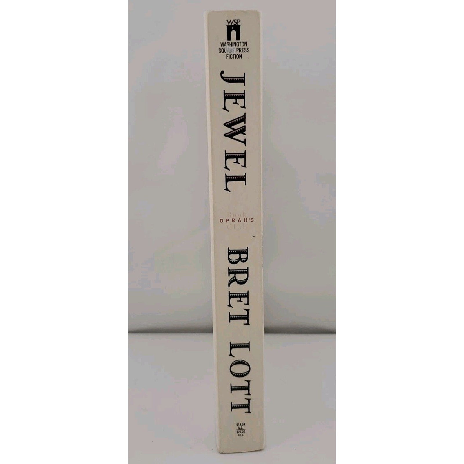 Jewel by Bret Lott (1999, Trade Paperback)