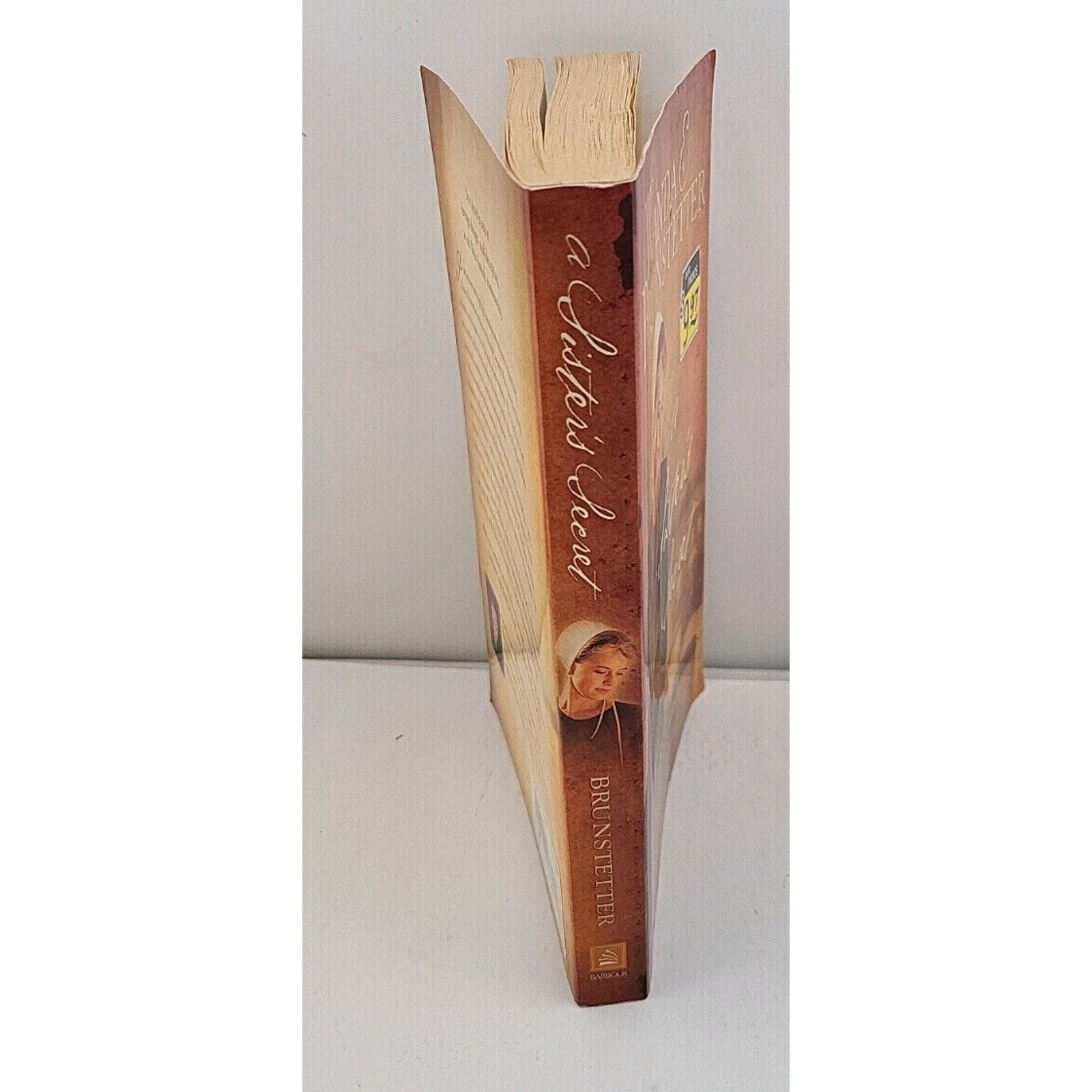 Sister's Secret by Wanda E. Brunstetter (2007, Trade Paperback)