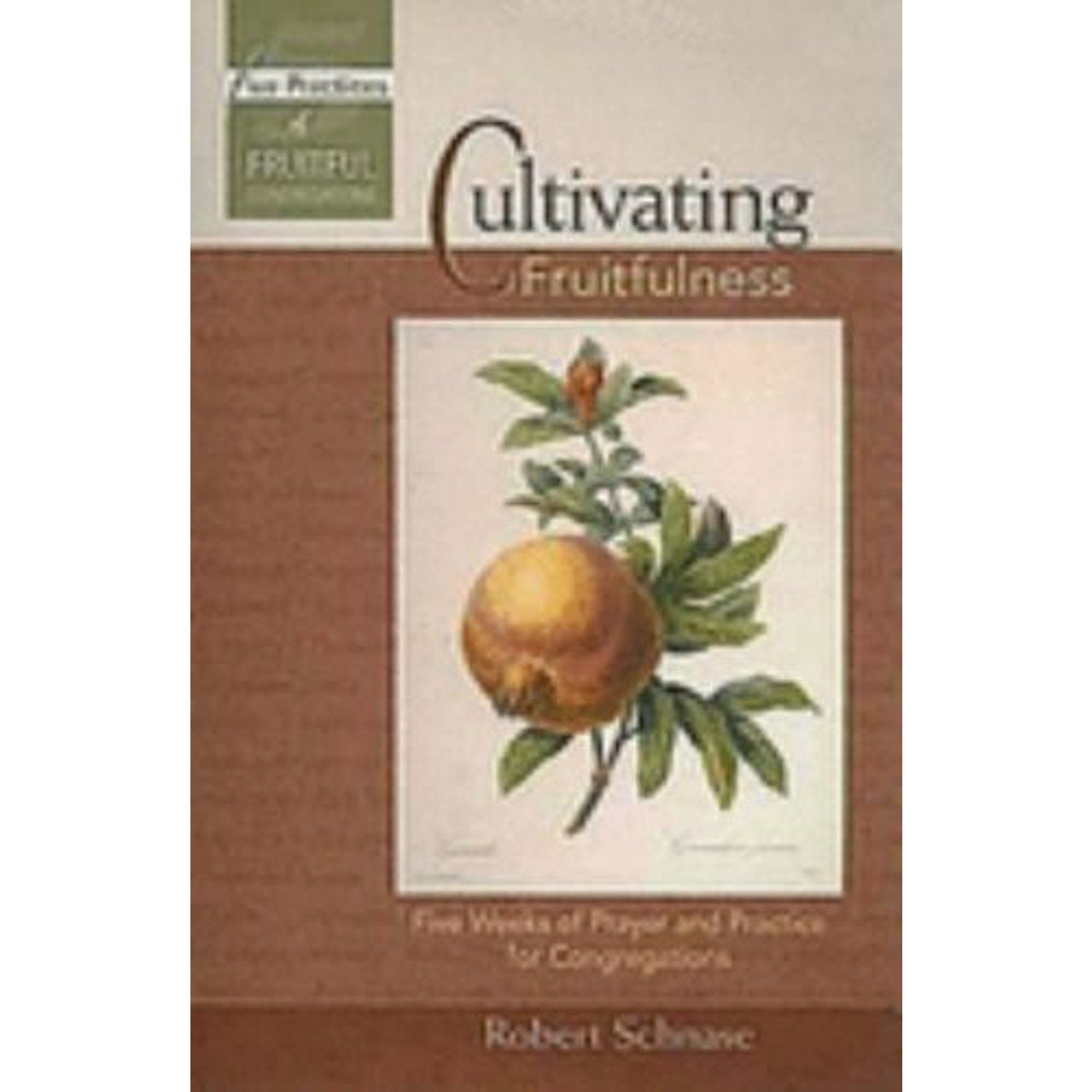 Cultivating Fruitfulness : Five Weeks of Prayer and Practice for Congregations …