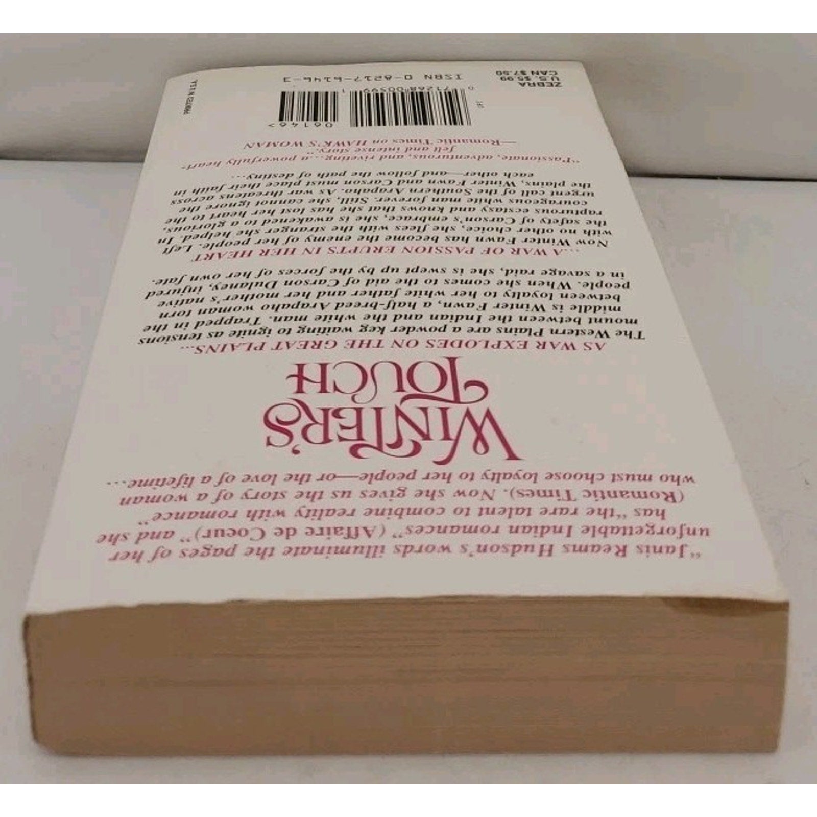 Winter's Touch by Hudson, Janis Reams (Paperback)
